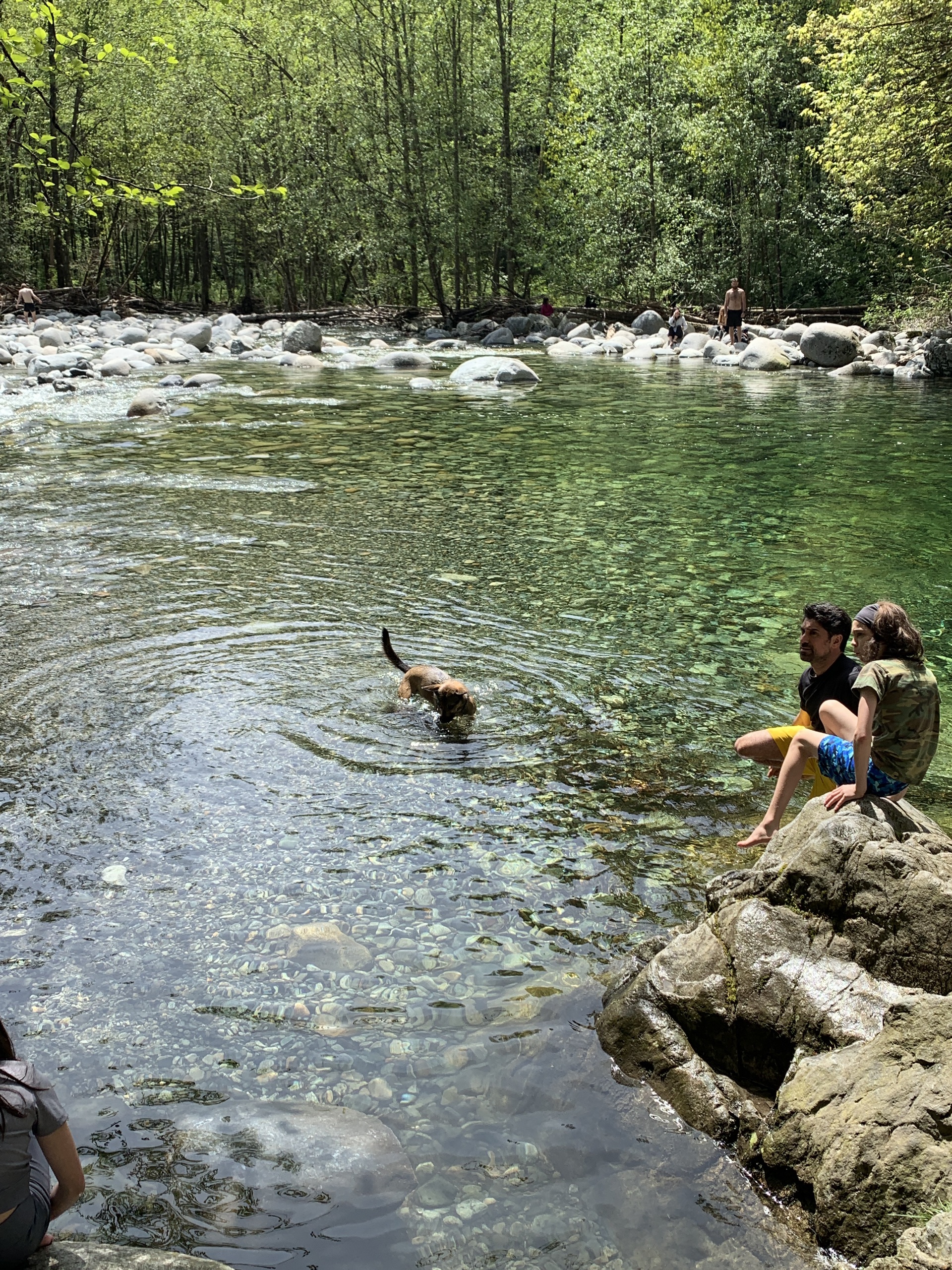 Lynn Headwaters Regional Park