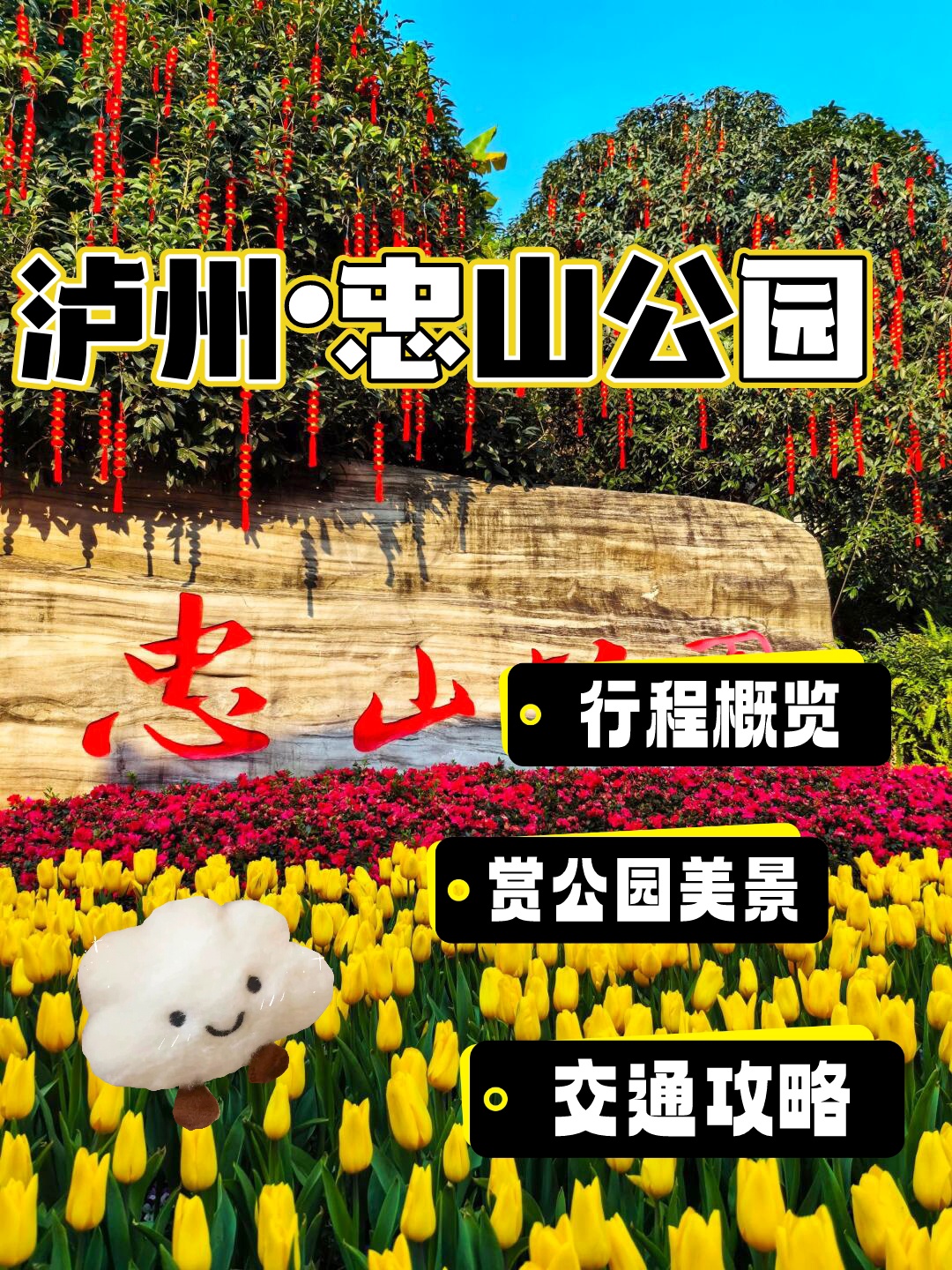 忠山公园:泸州的城市绿洲99,承载着多少人的回忆!94