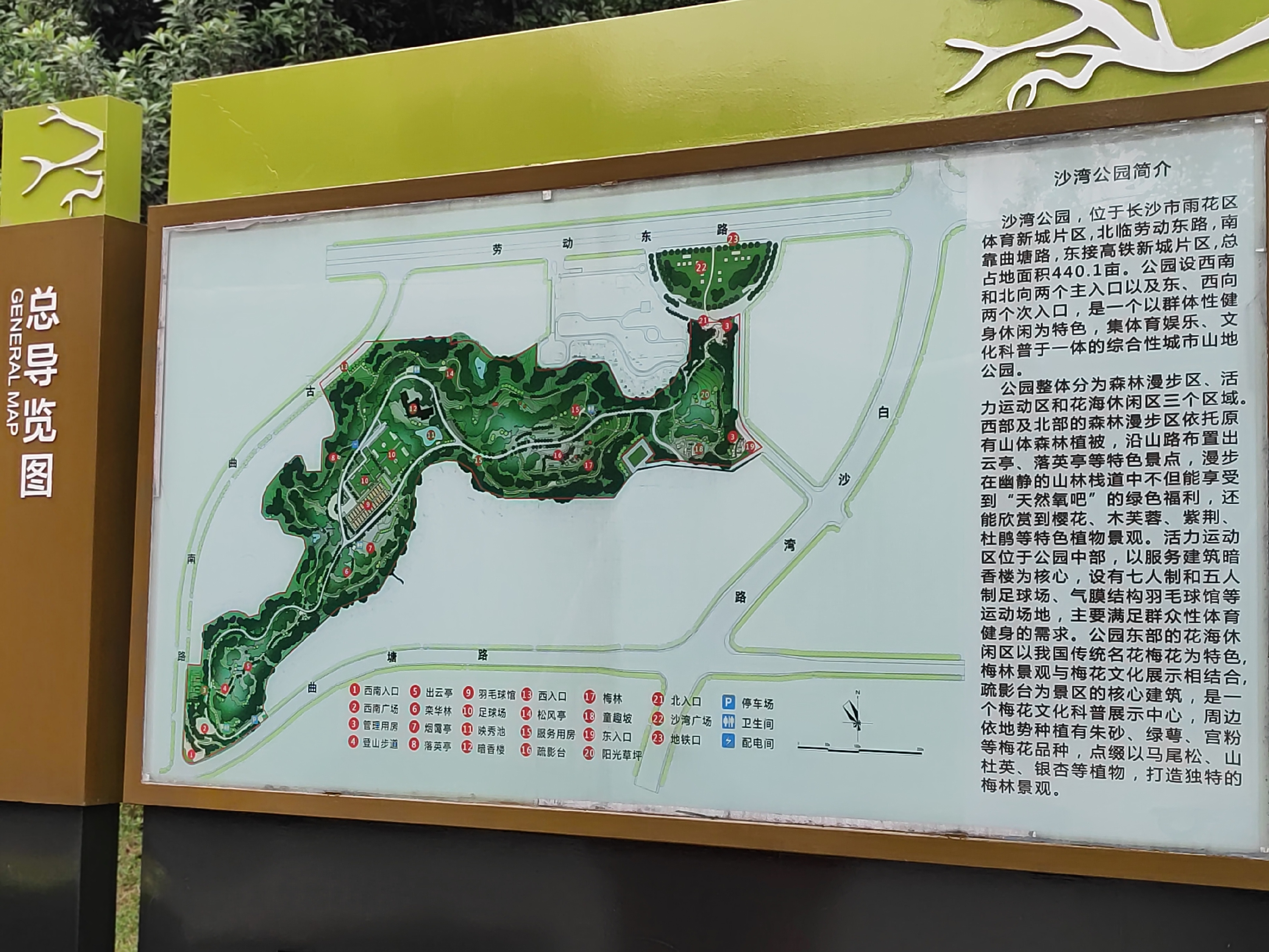 967715长沙沙湾公园7515