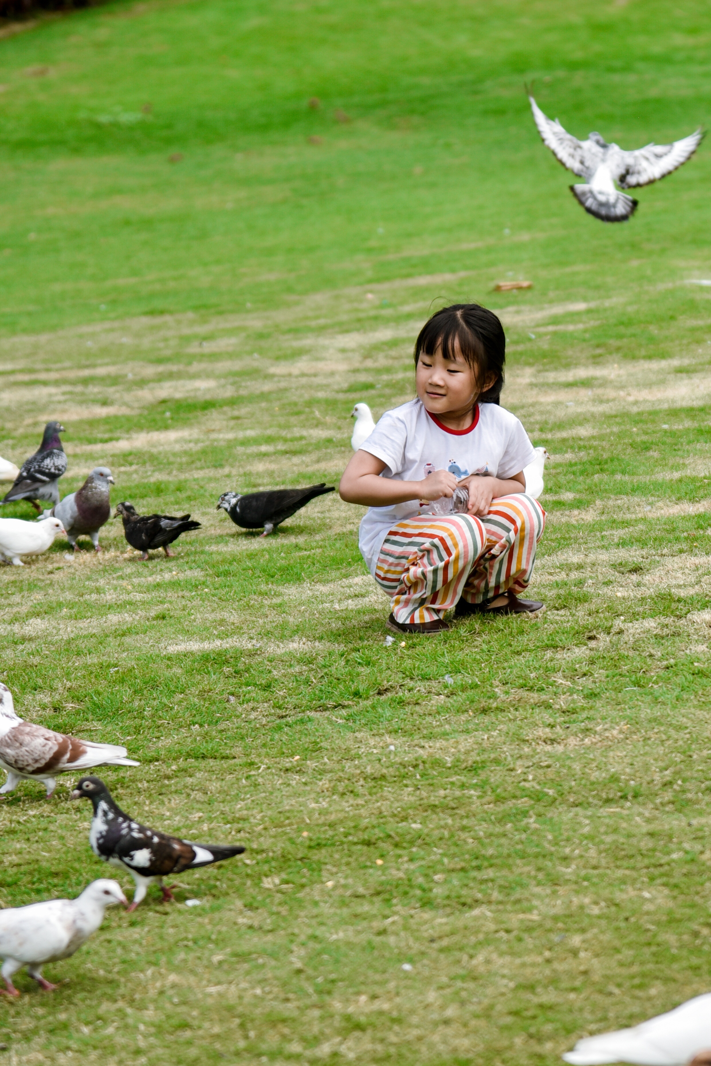 白鹭洲公园喂鸽子