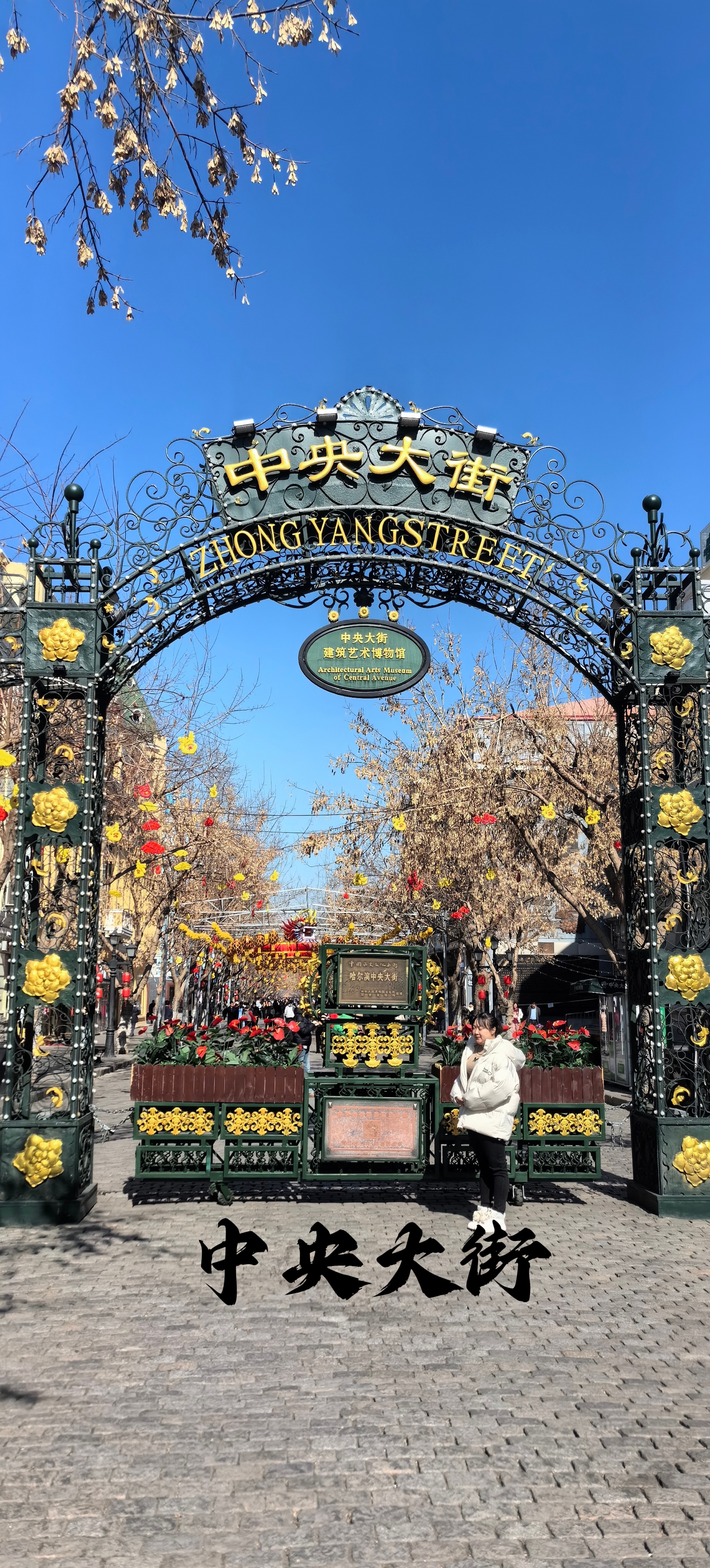 (铅笔)中央大街是哈尔滨市很繁盛的一条商业步行街,位于哈尔滨道里区