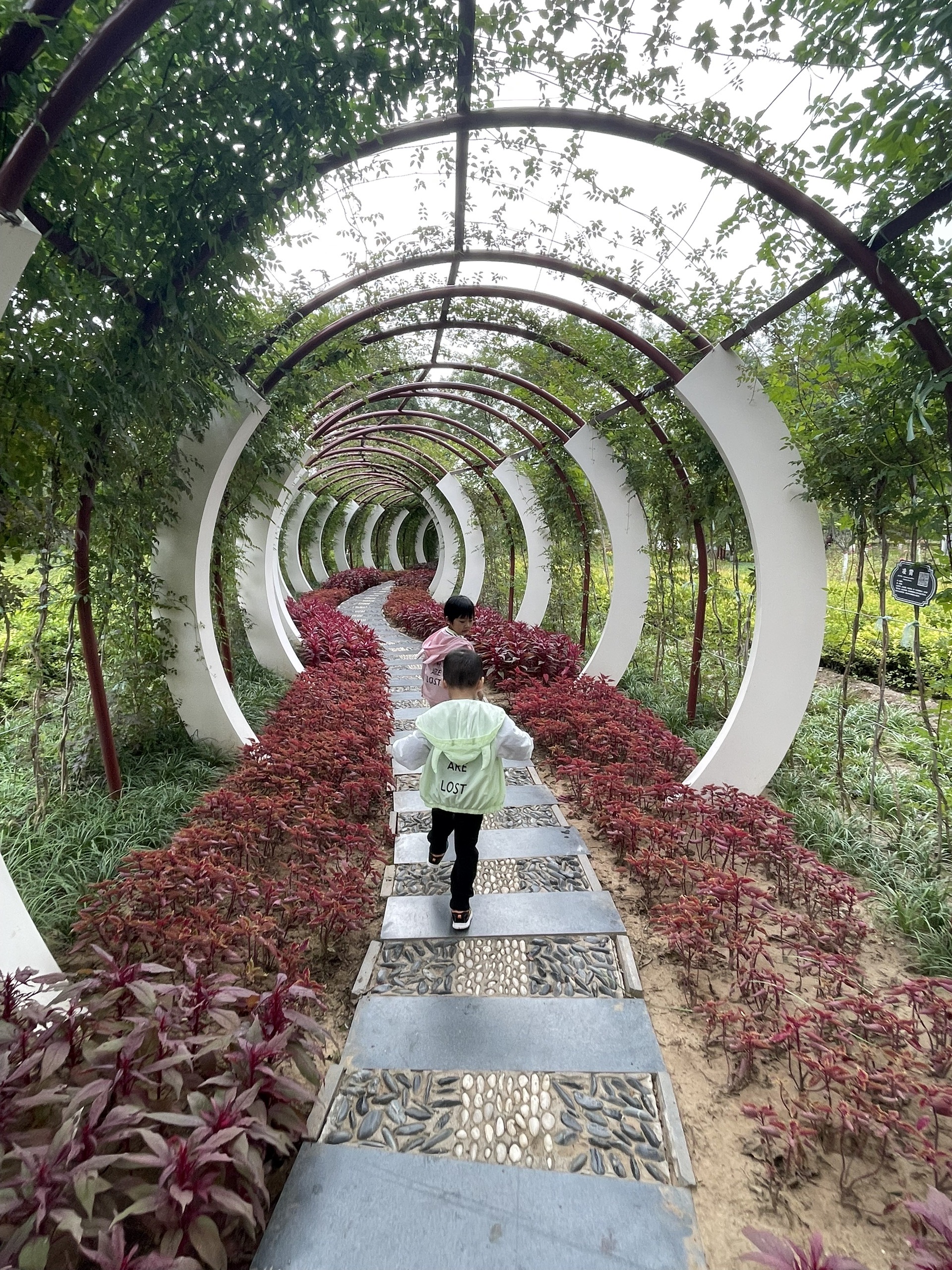 三里河生态走廊|迁安露营7215遛娃好去处