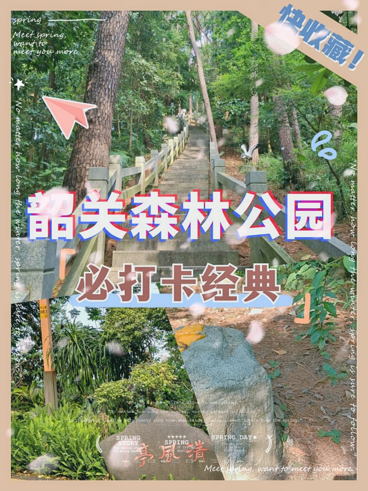 探寻南国奇境  韶关森林公园游玩攻略