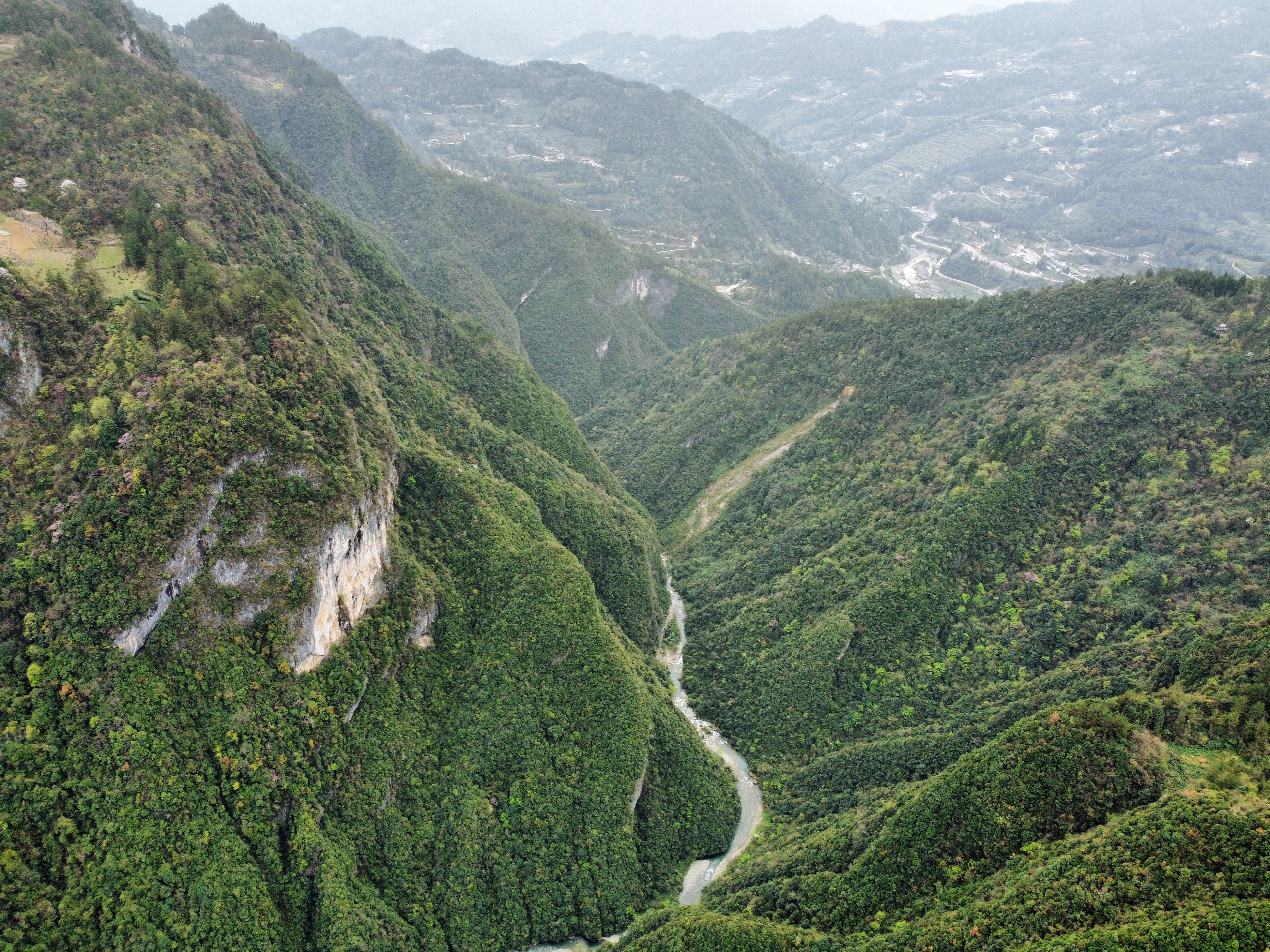 鹤峰雕岩