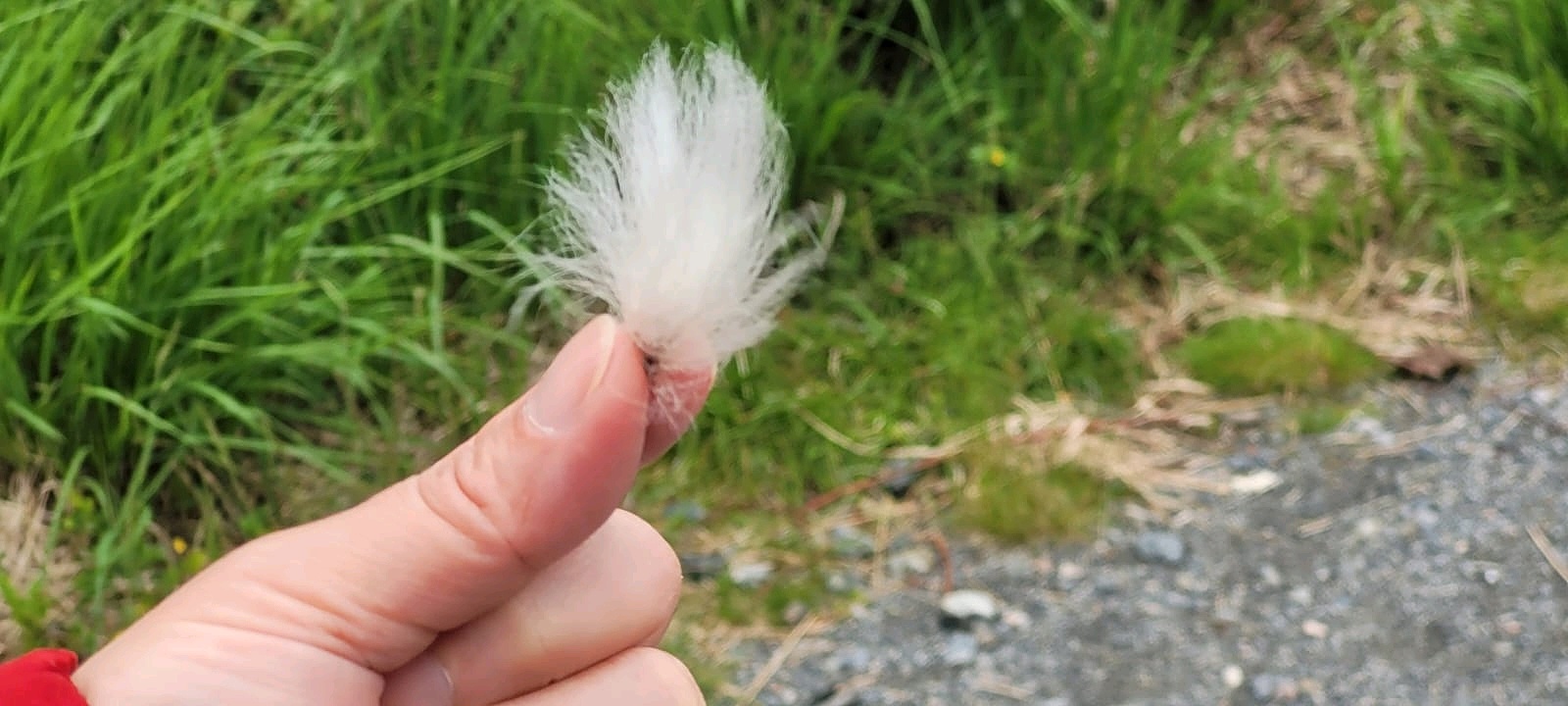 爱德华·格里格博物馆