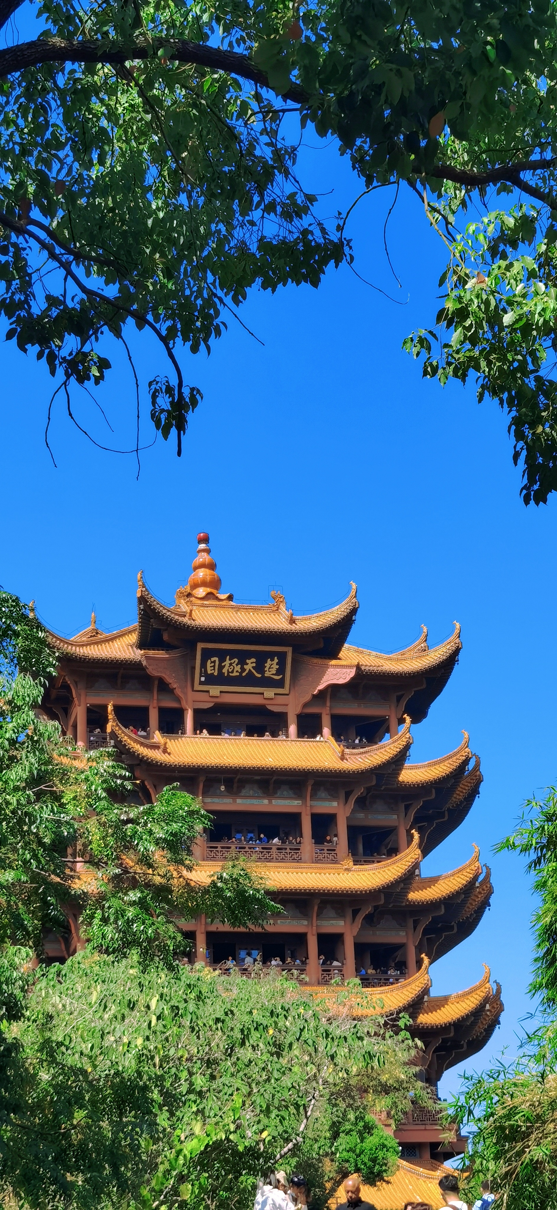 黄鹤白云,江山入画,多少文人骚客在此驻足远眺,多少名诗佳词在此挥毫