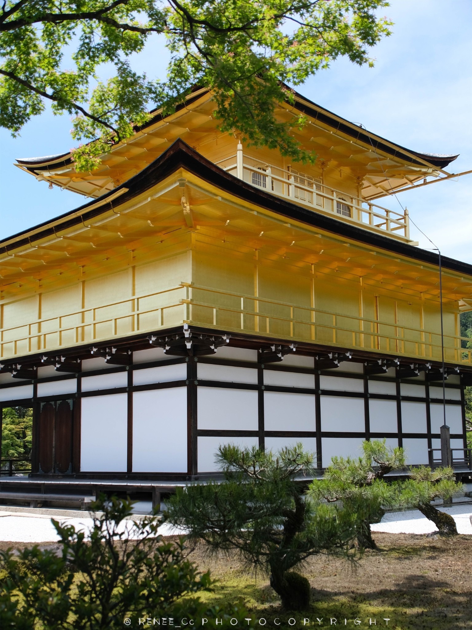 金阁寺|是最耀眼的寺院