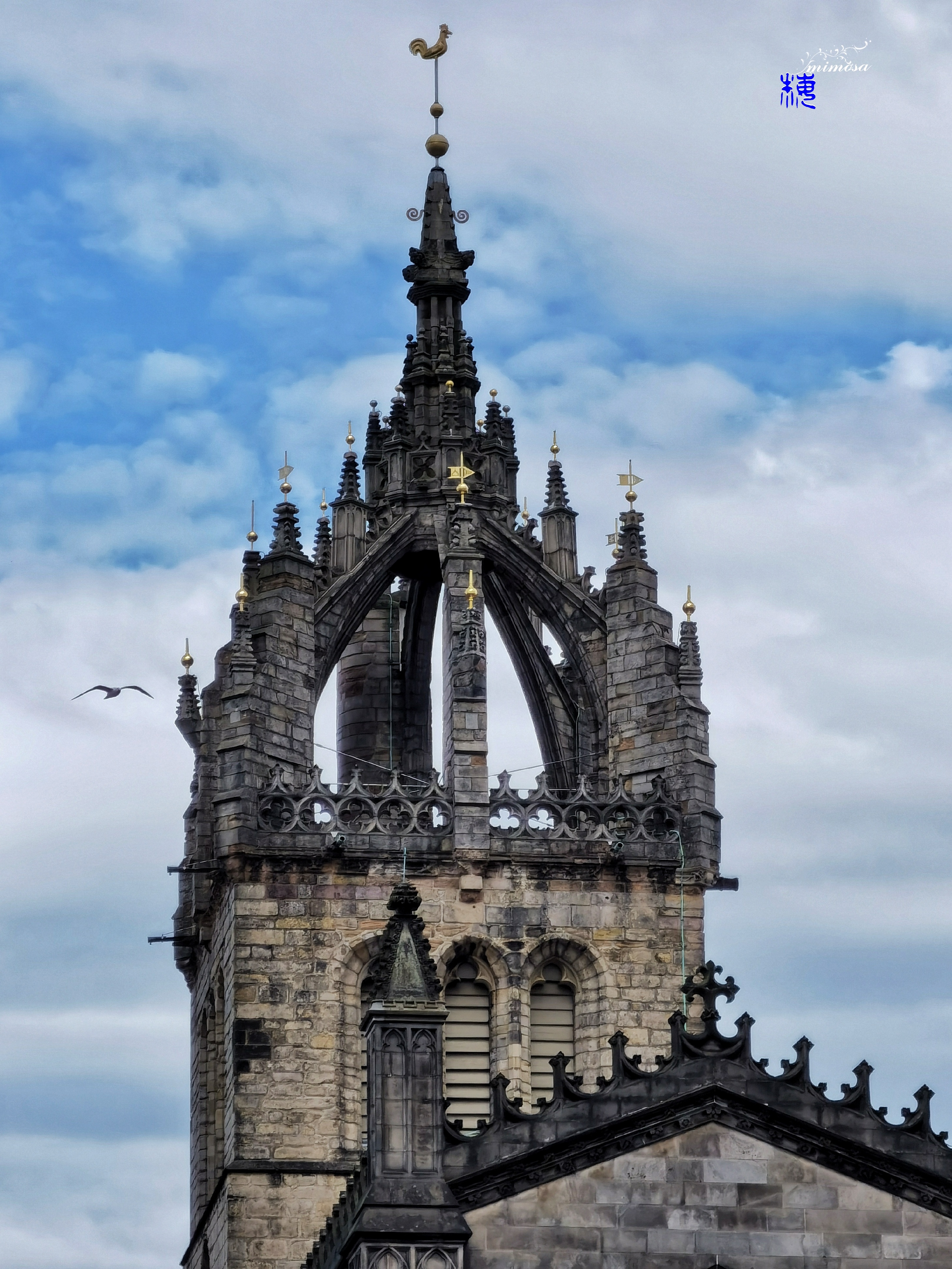 mimosaの夏至英国～圣吉尔斯大教堂