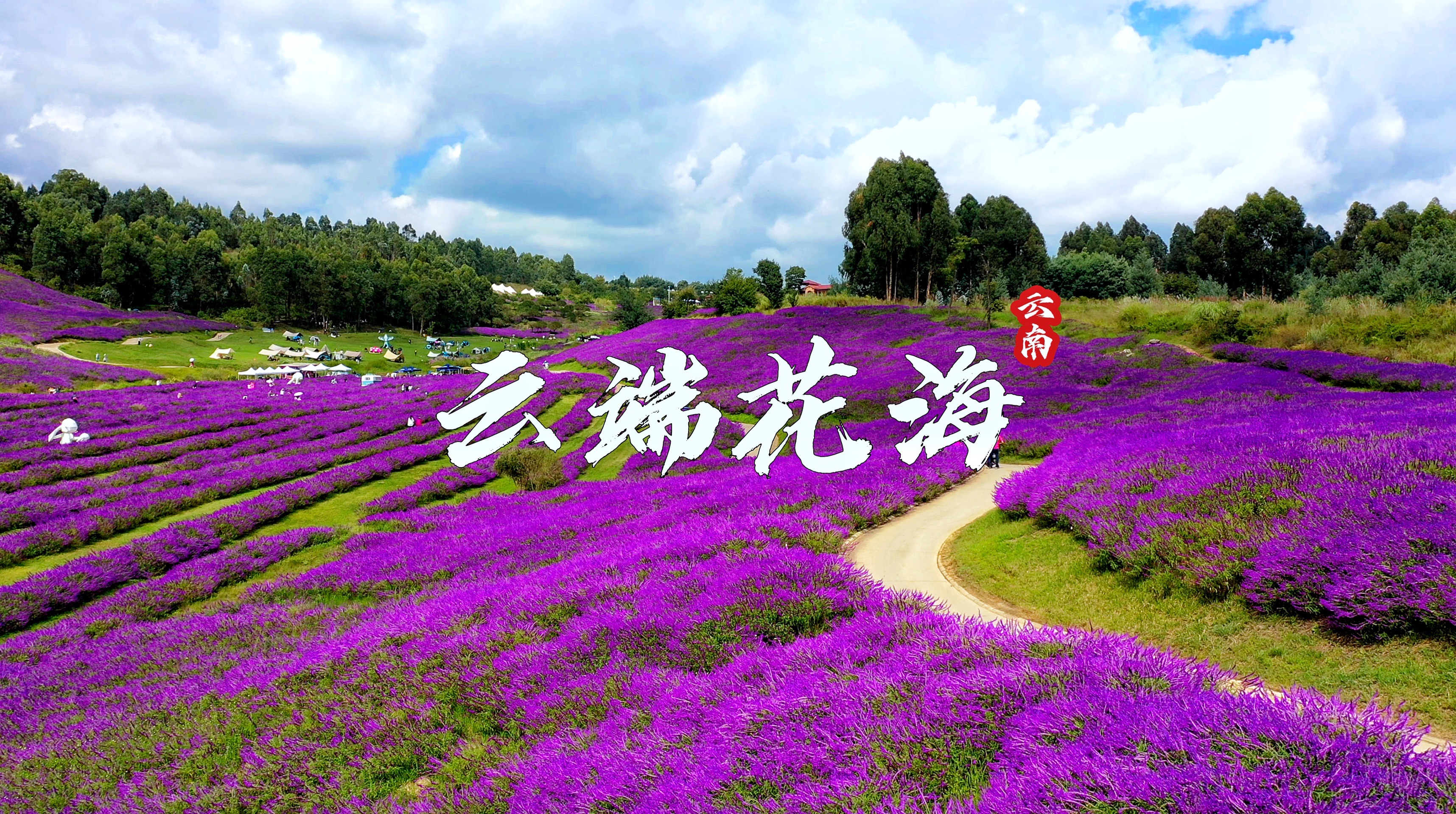 华侨城云端花海图片