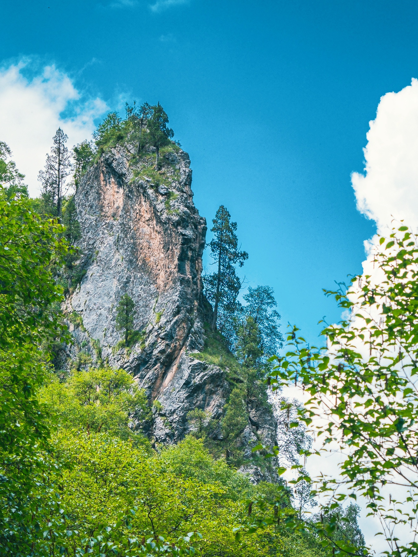 夏季青海自驾,扎龙沟可以安排