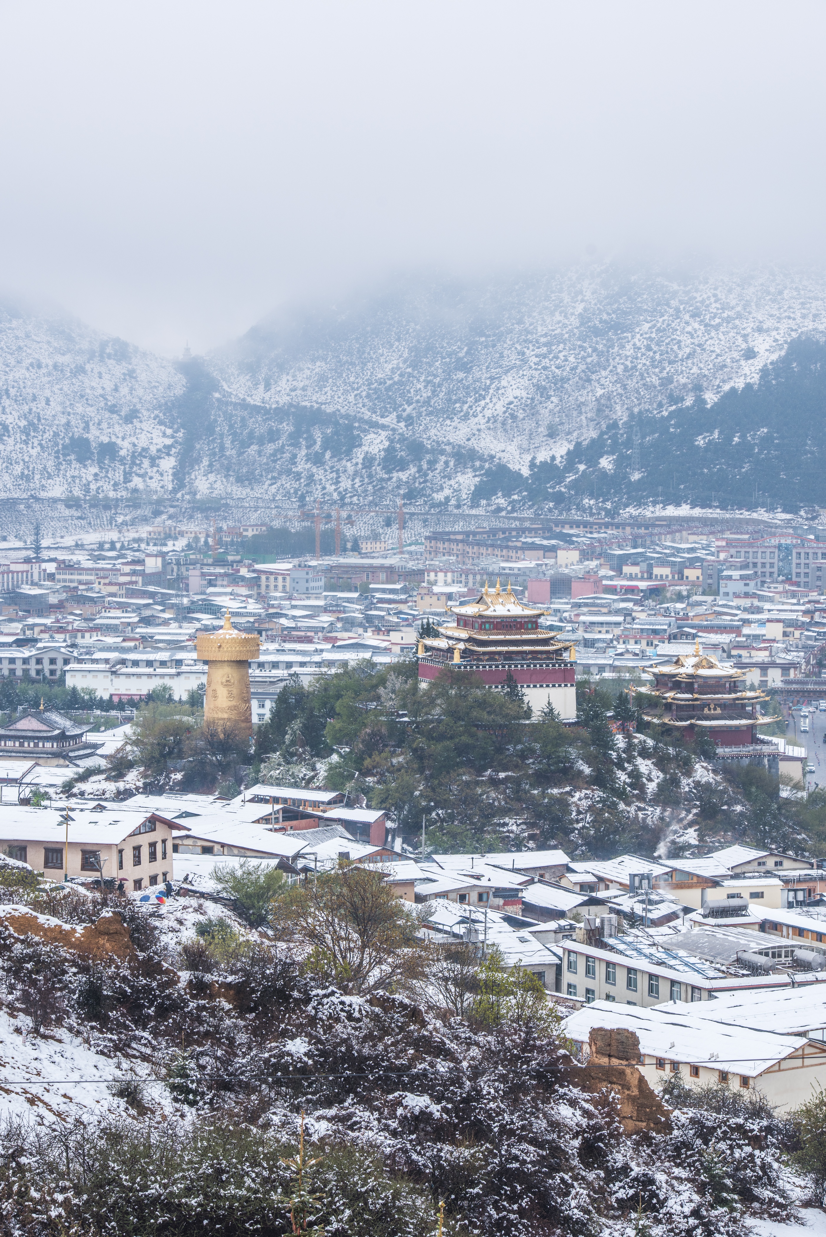 盛夏的迪庆太美了!雪裹山峦的景色令人沉醉!不愧为香格里拉!