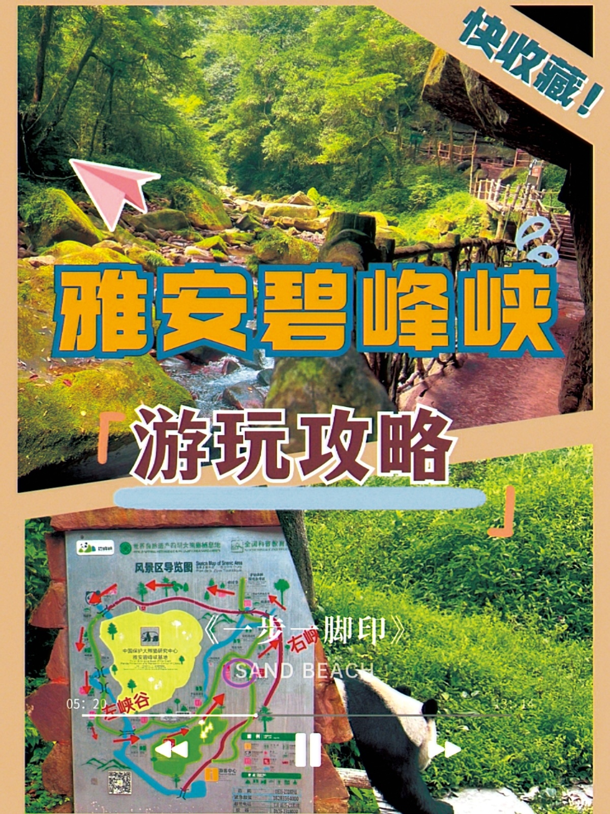 素有"天府之肺"美称的国家5a级旅游景区雅安碧峰峡,由野生动物世界