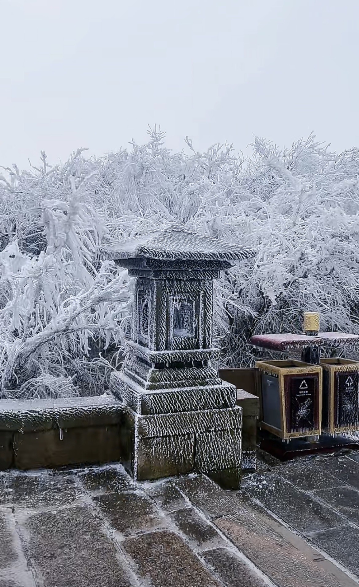 玉女峰雪景图片