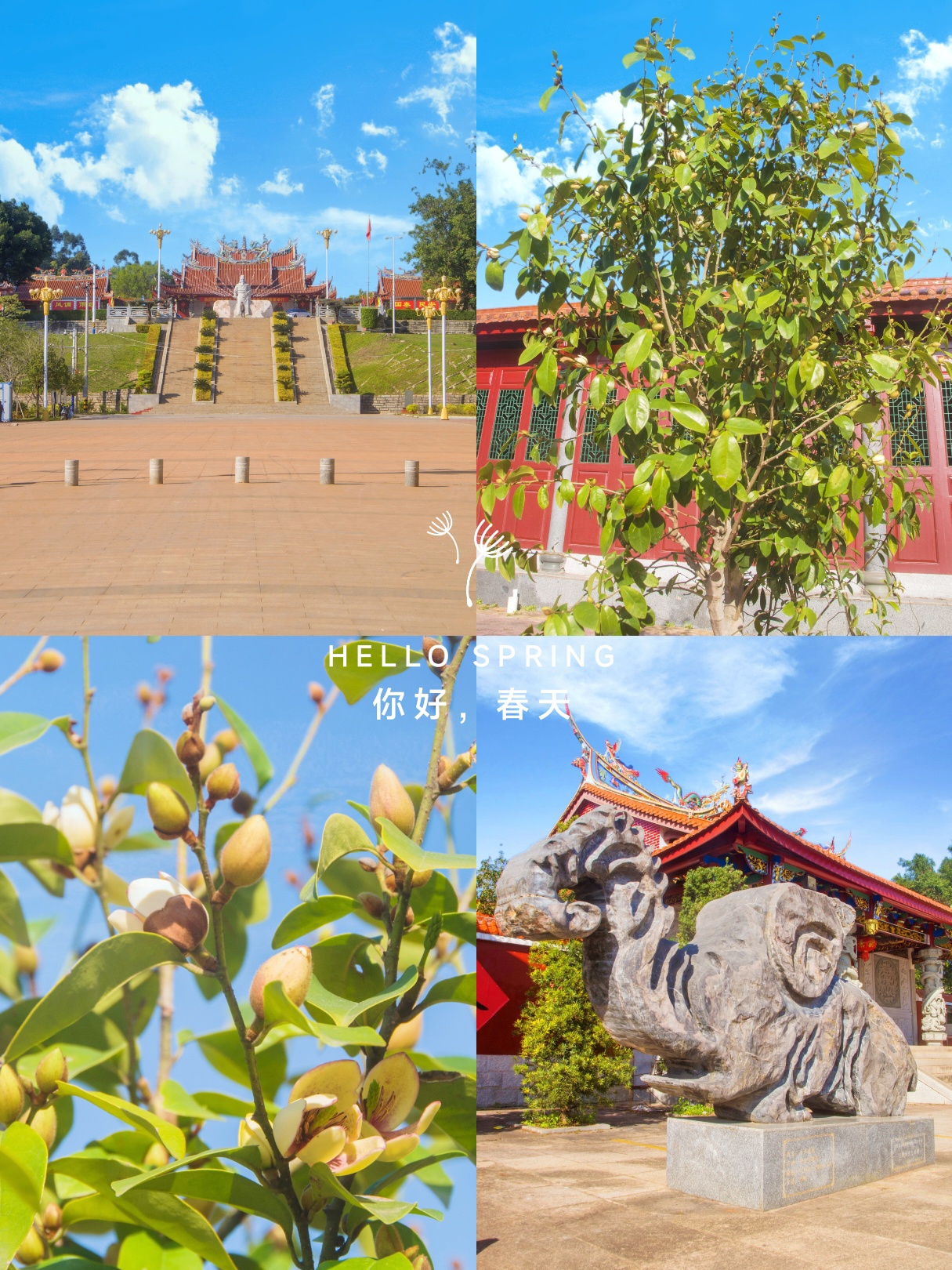 漳浦威惠庙,庭园之中闻香含笑