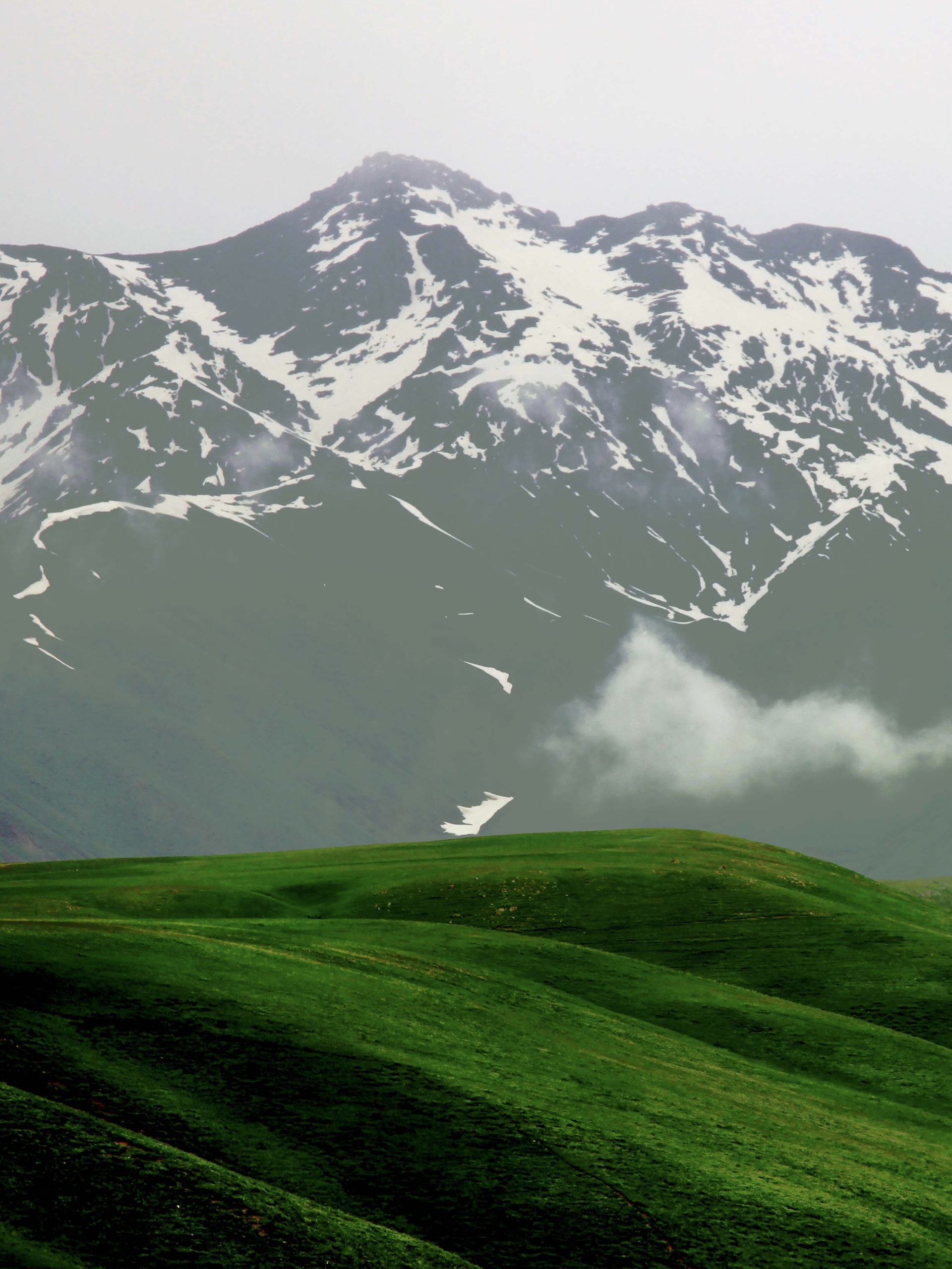 只有伊犁本地人知道的景区7515| 托乎拉苏草原