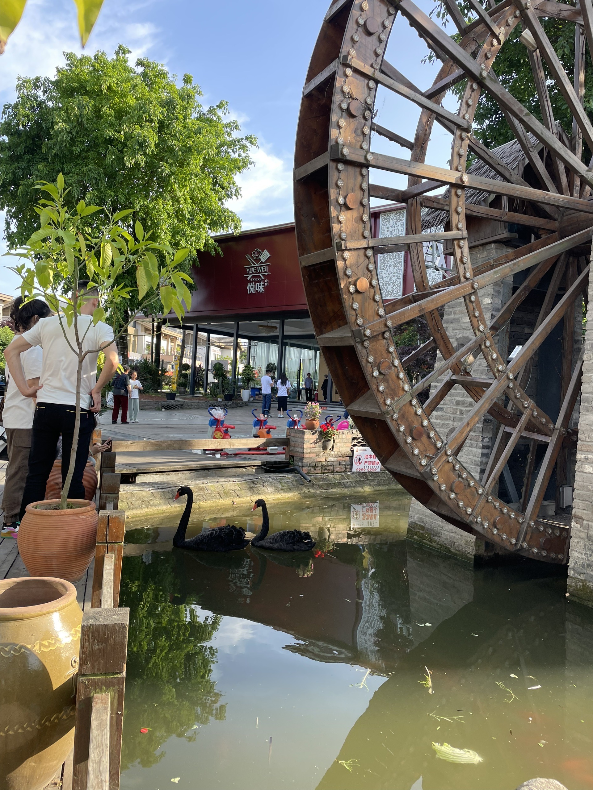 成都城北天府沸腾小镇环境优雅宜休闲