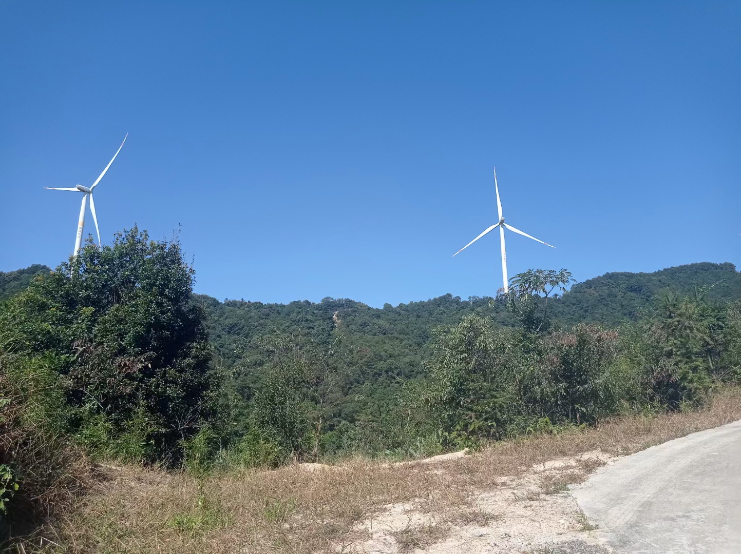 佛冈黄花石寨风车山图片