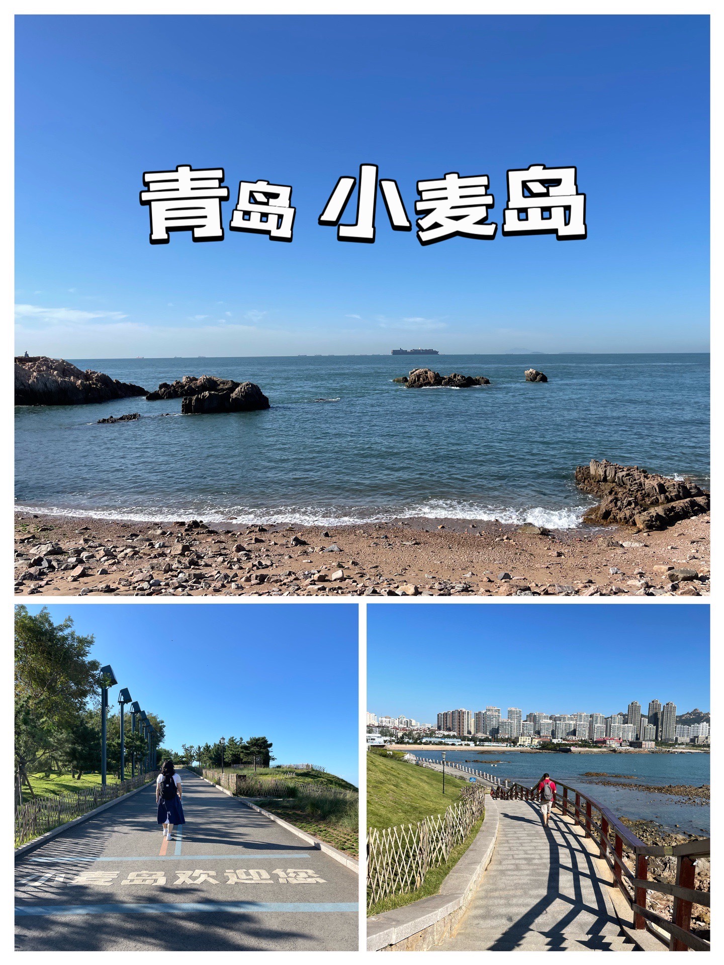 青岛市   小麦岛公园