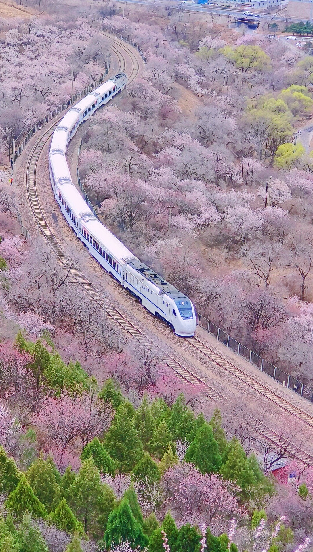 开往春天的列车居庸关图片