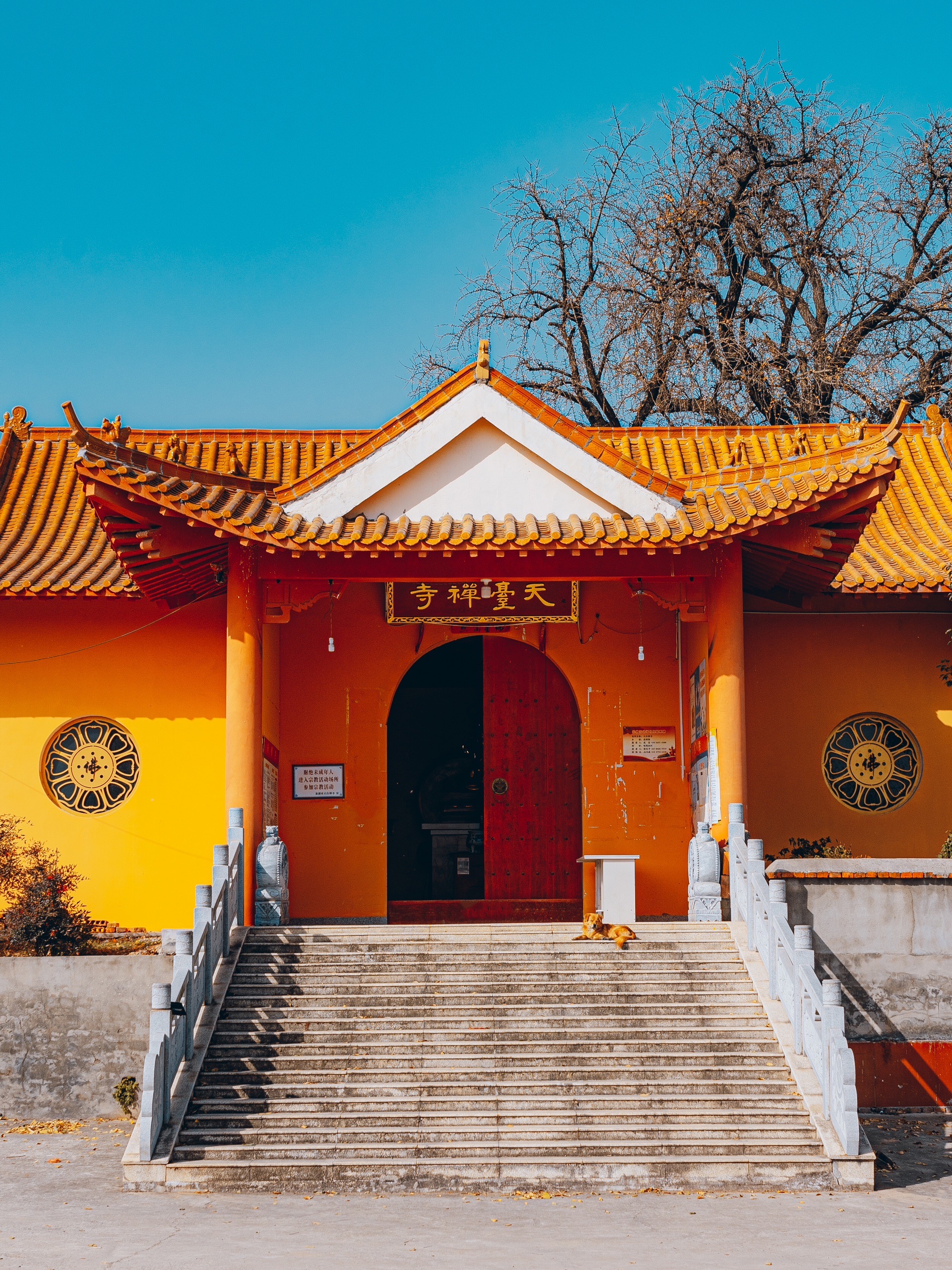 错过银杏观赏期,巢湖天台禅寺依旧有很美的风景