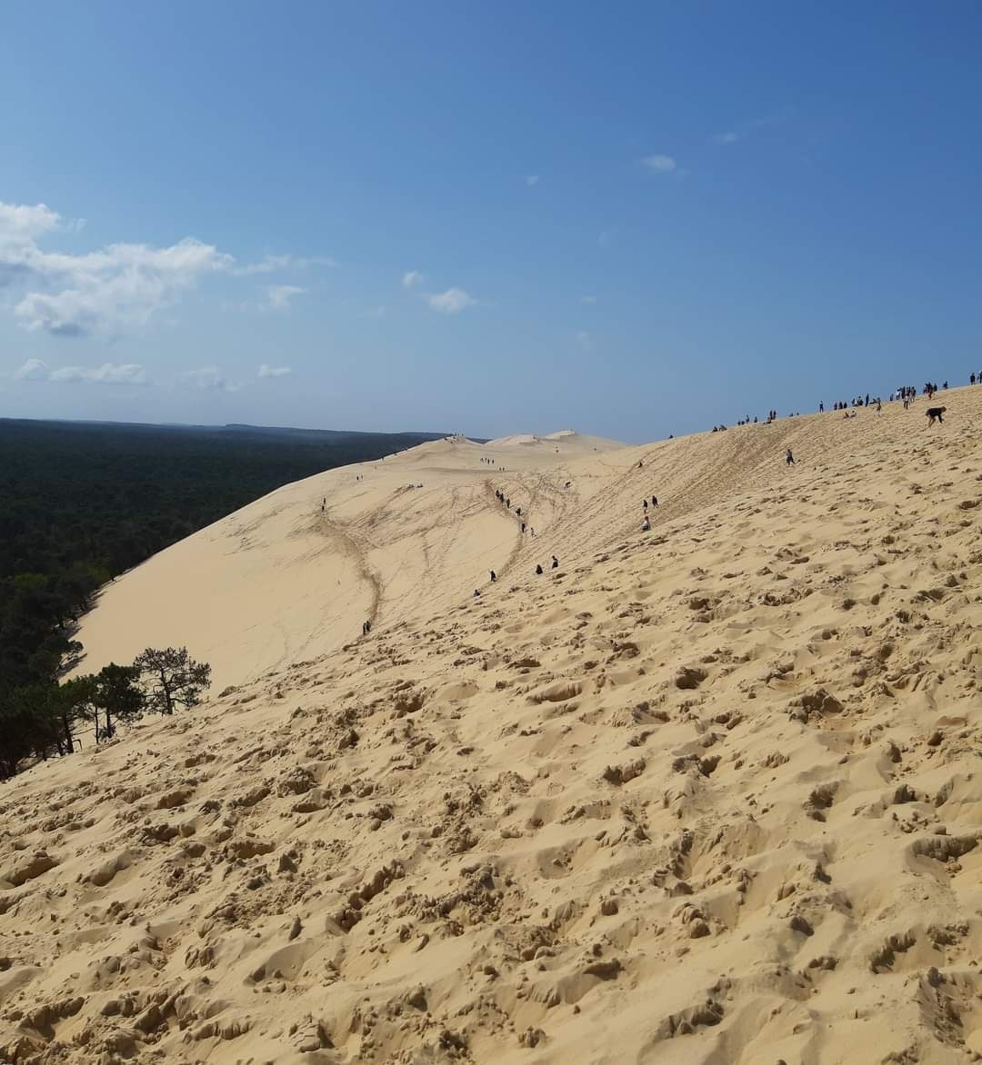 欧洲最高的沙丘,比拉沙丘la dune du pilat