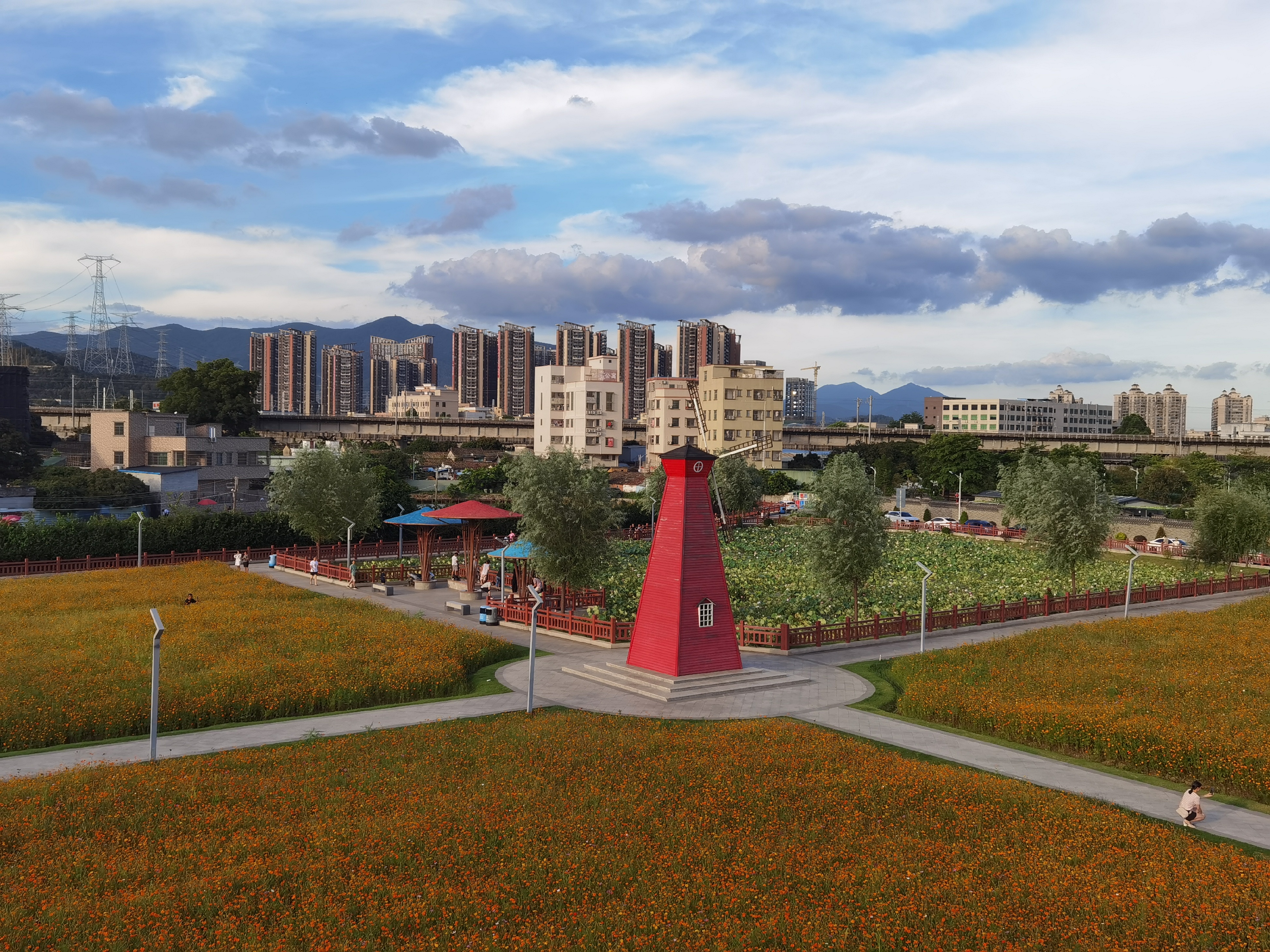 假期赏花去!东莞这7000平方米超美花海不容错过