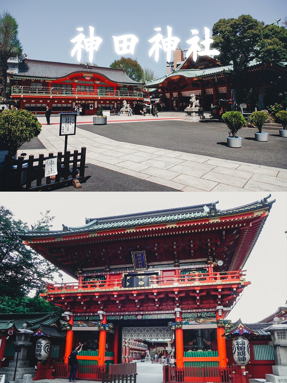 东京松阴神社图片