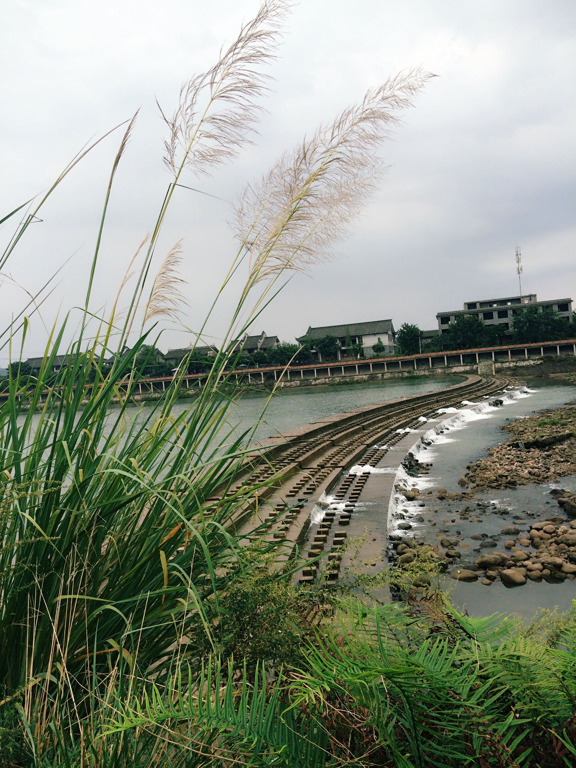 成都市大邑县新场镇图片