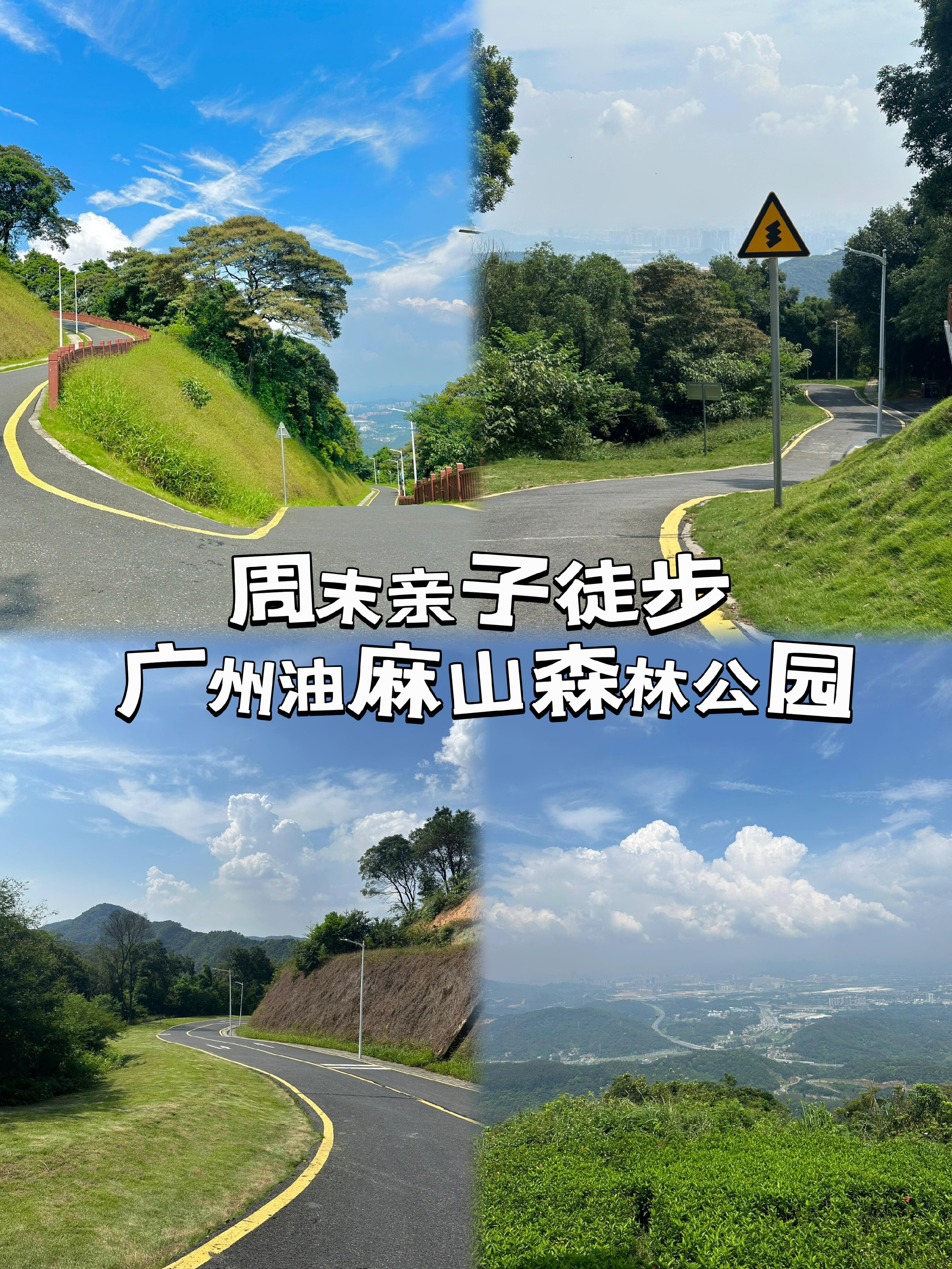 油麻山森林公园攻略图片