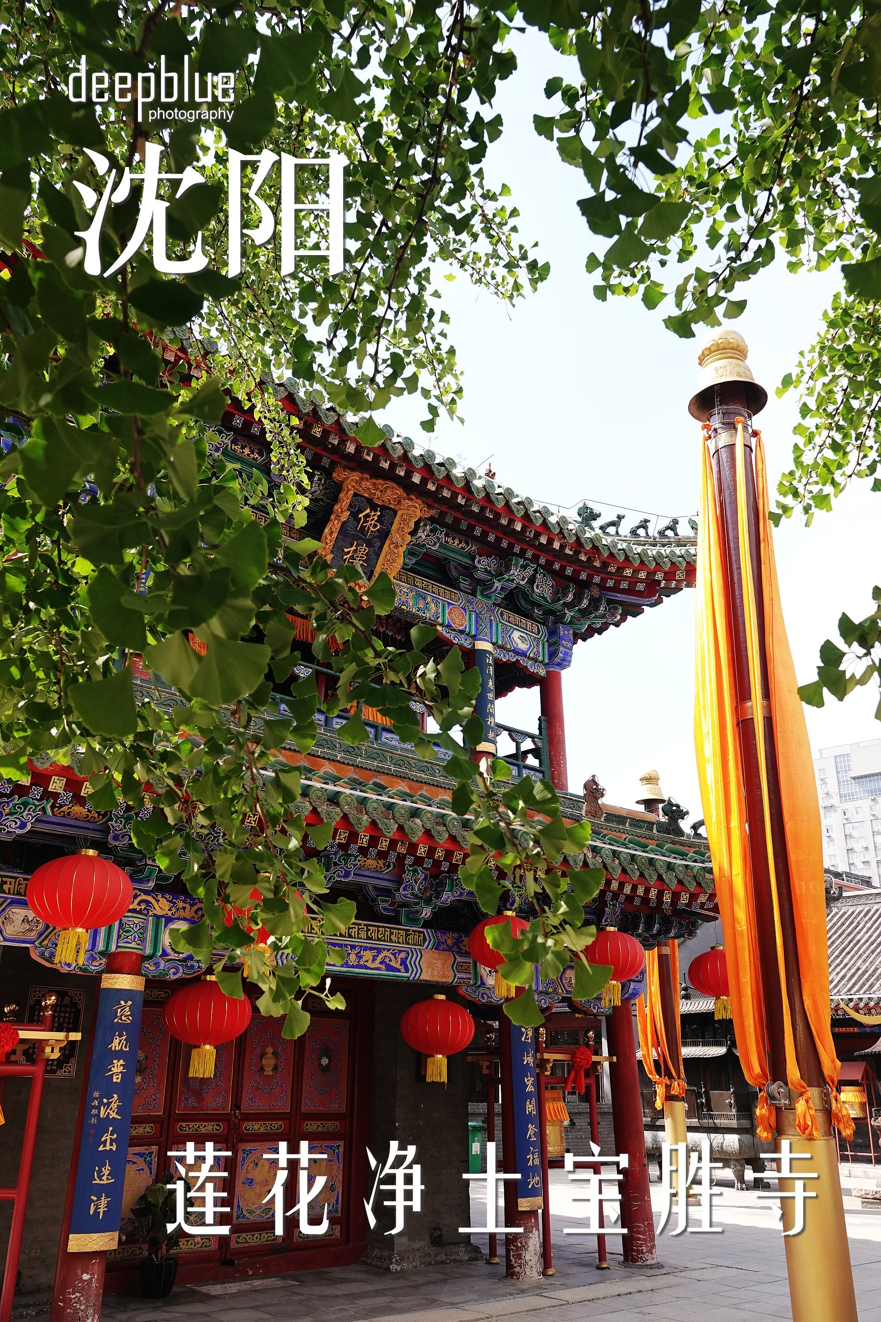 沈阳|莲花净土实胜寺