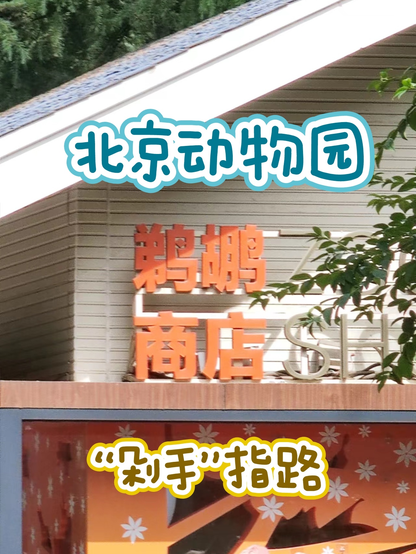 北京动物园 | 鹈鹕商店"剁手"指路