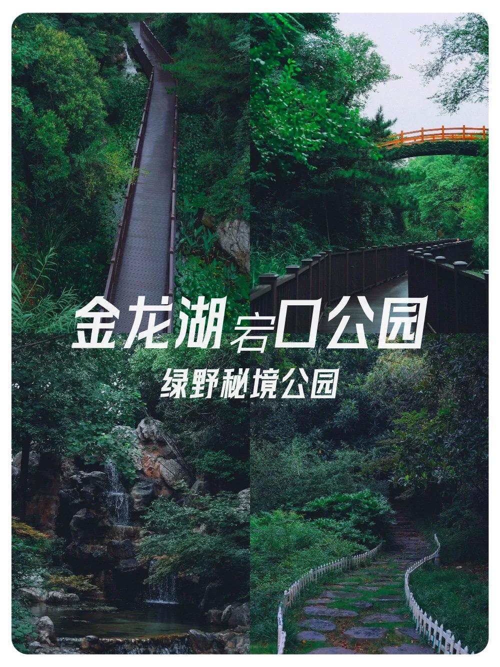 免费 01交通:从金龙湖地铁站5号口出,步行即可抵达宕口公园