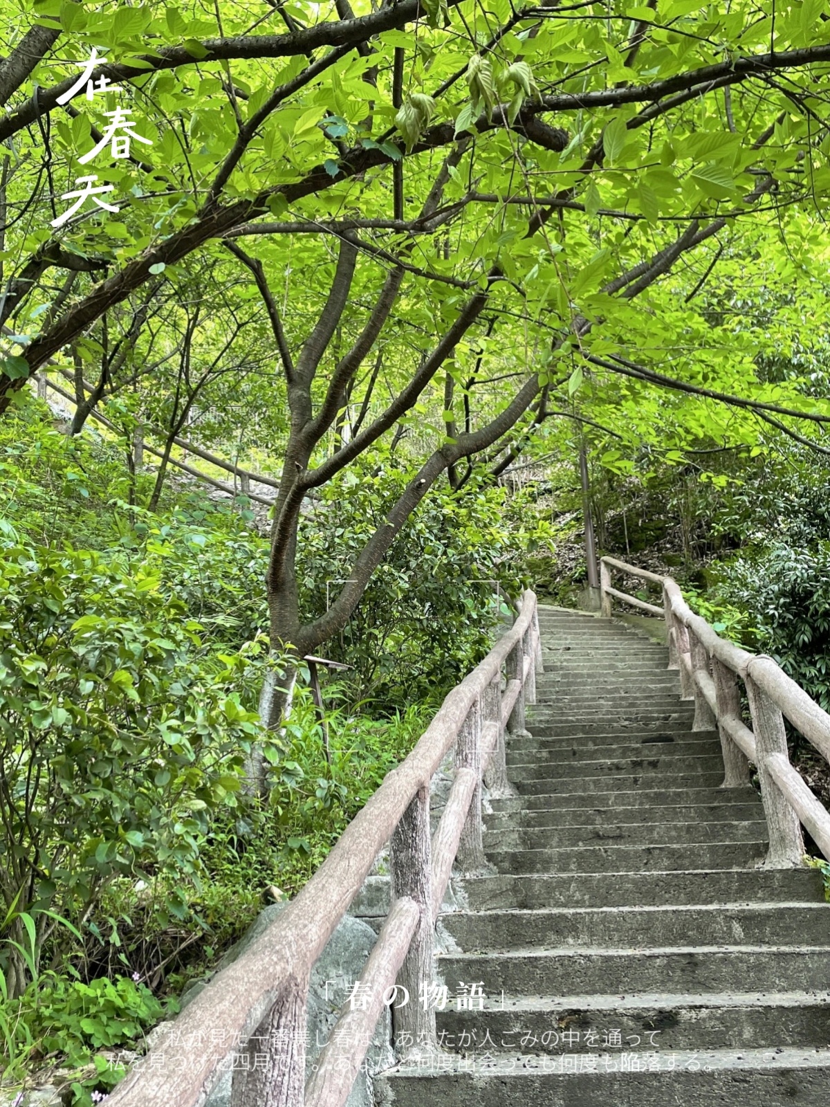 郴州王仙岭图片