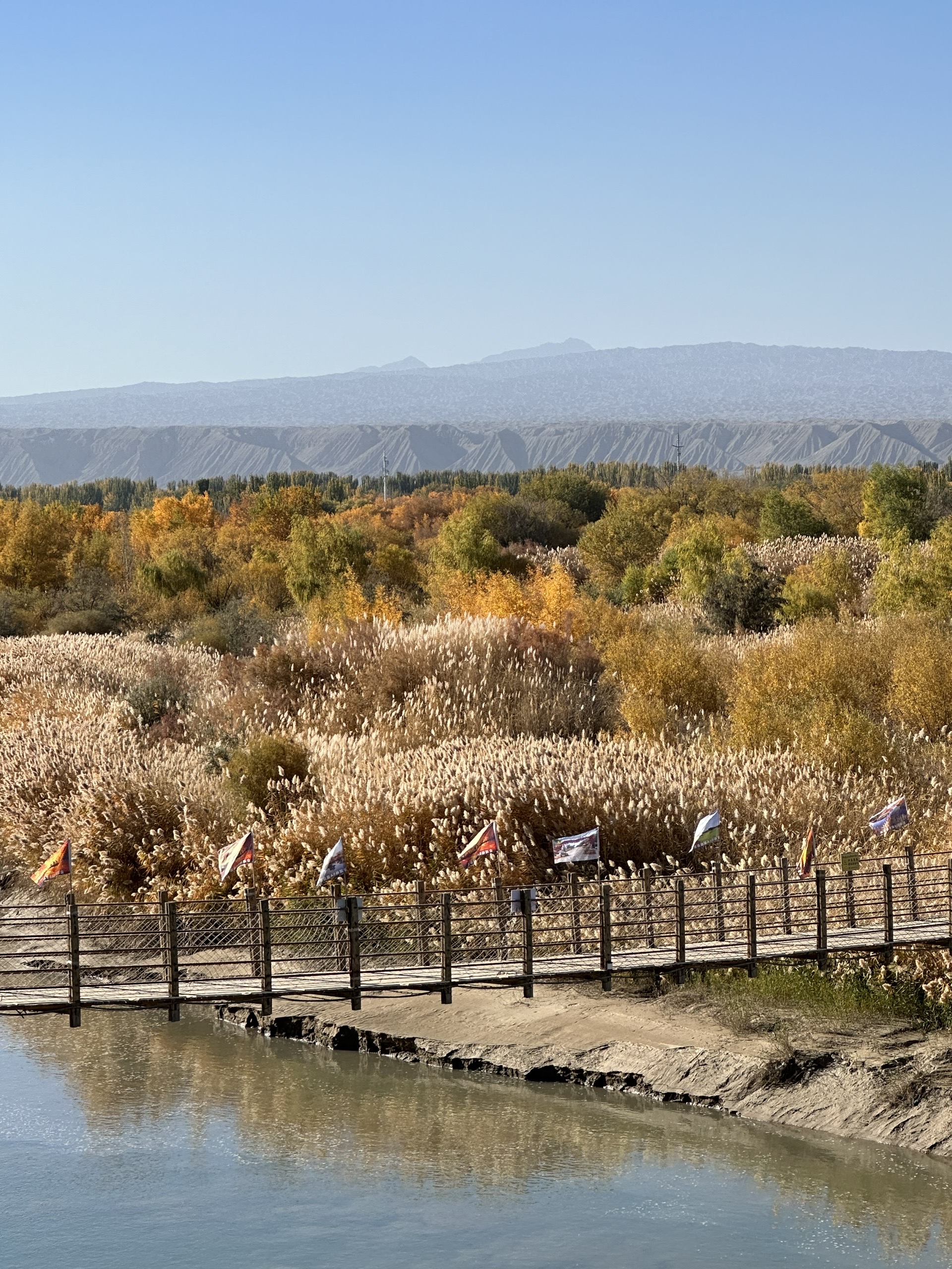 5a景区:泽普金胡杨