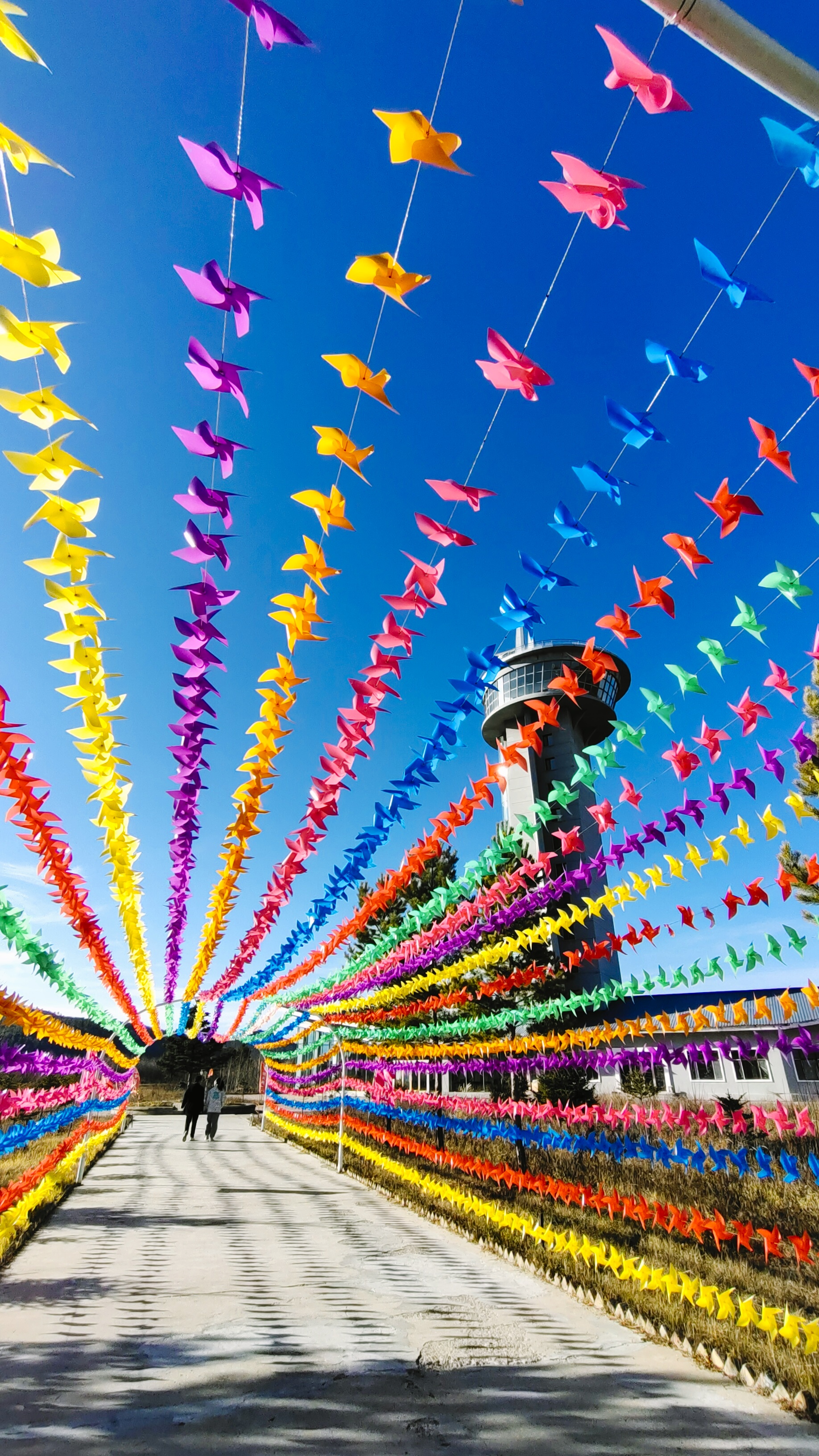 2023年10月11日,于漠河北极村·北极观光塔 这座被称为北极村的最高