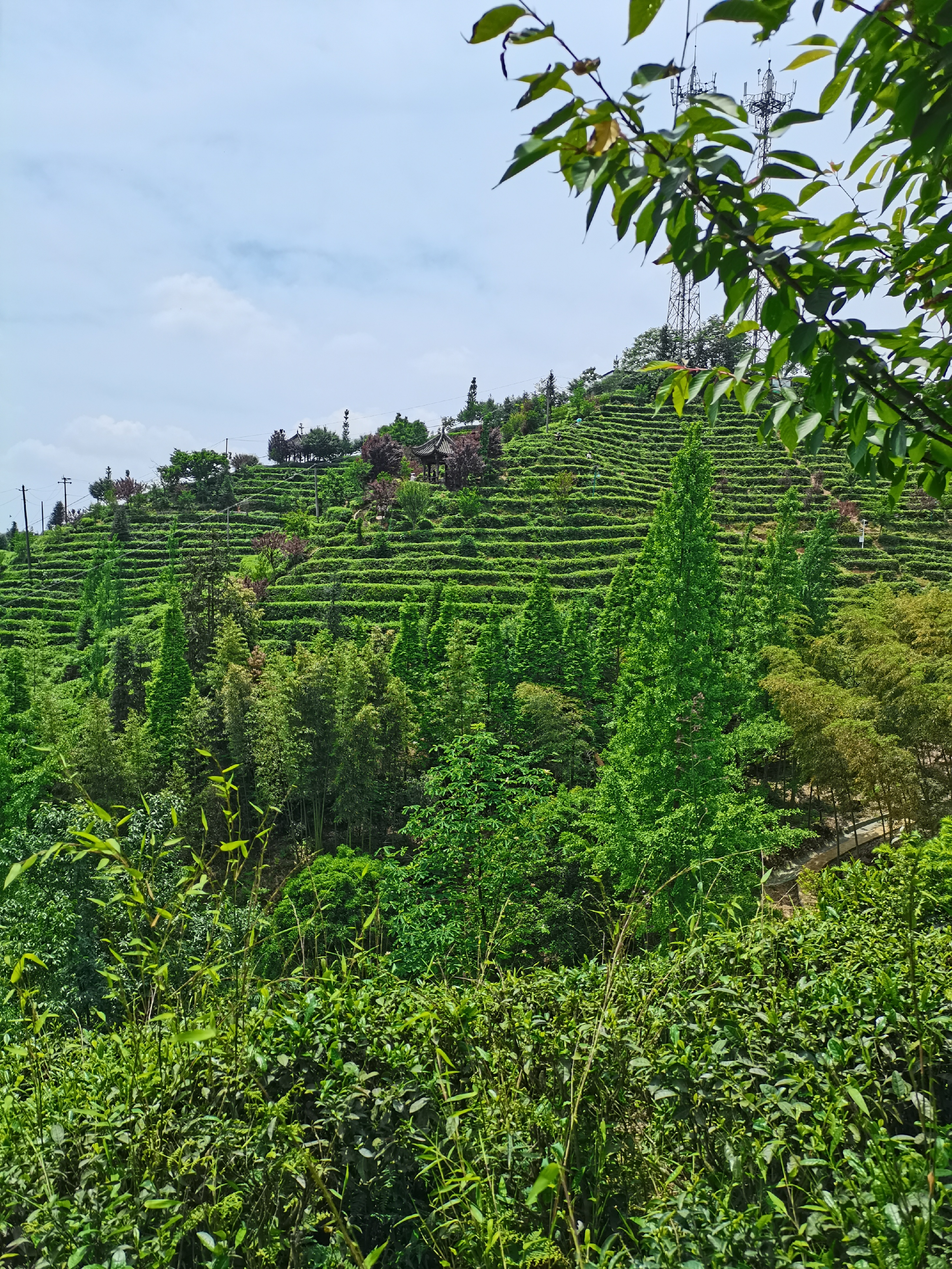 都江堰三天两夜——第三天,茶溪谷