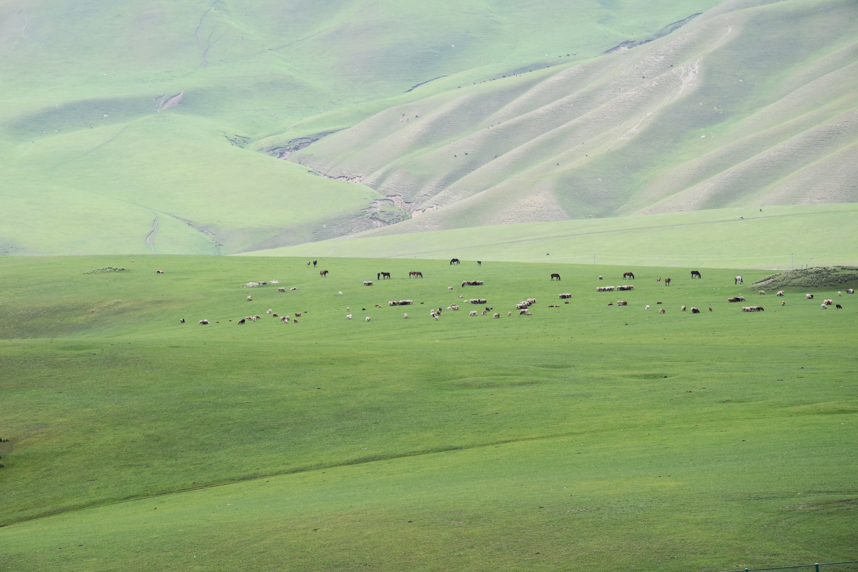 托乎拉苏景区"指南"