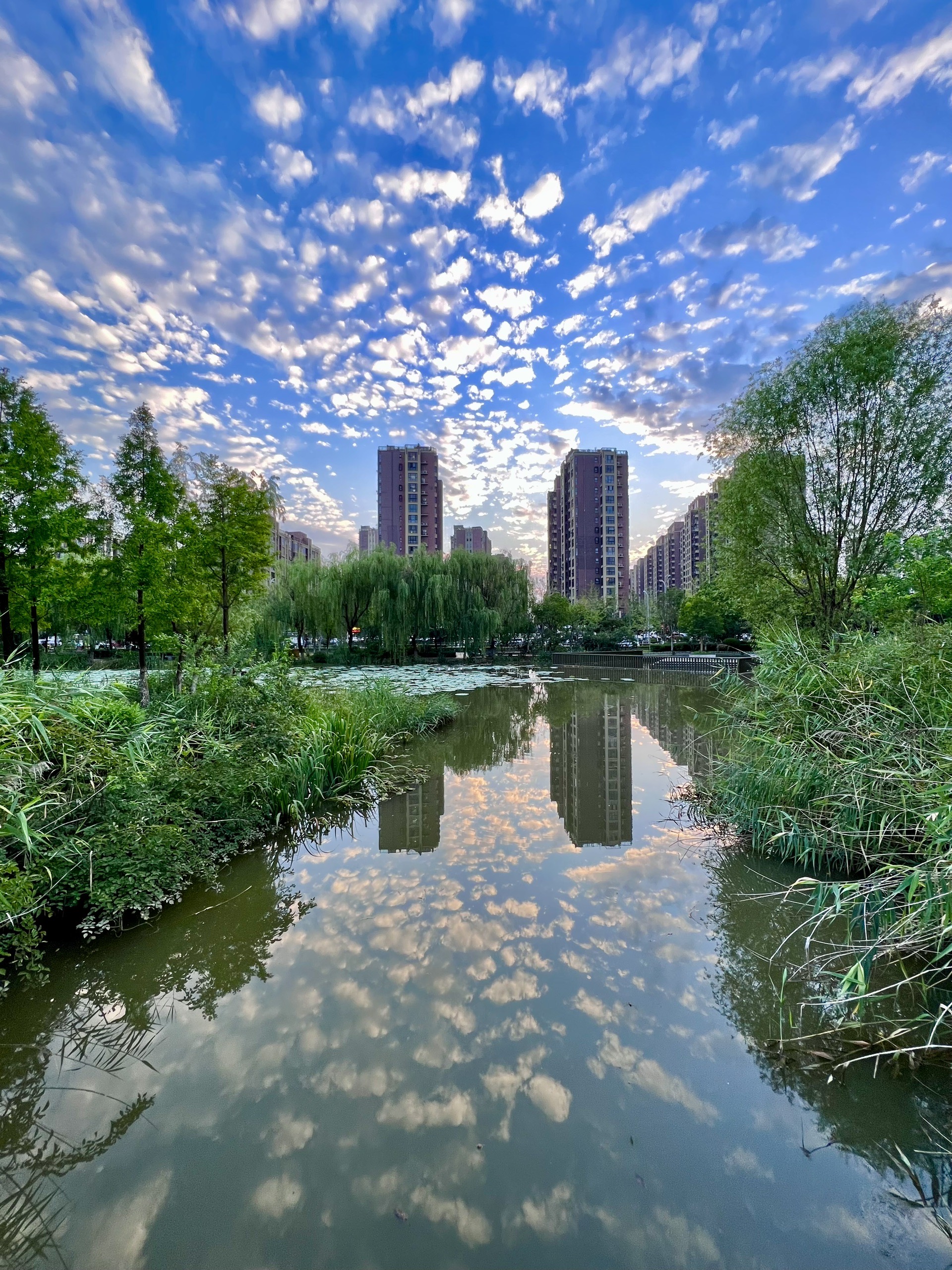 公园由世界刘氏宗亲总会会馆,樊井留痕,泗水飘香,射戟台,赤帝亭,古井
