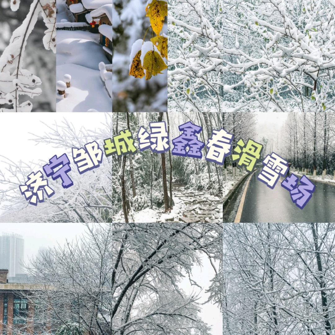 绿鑫春滑雪场图片