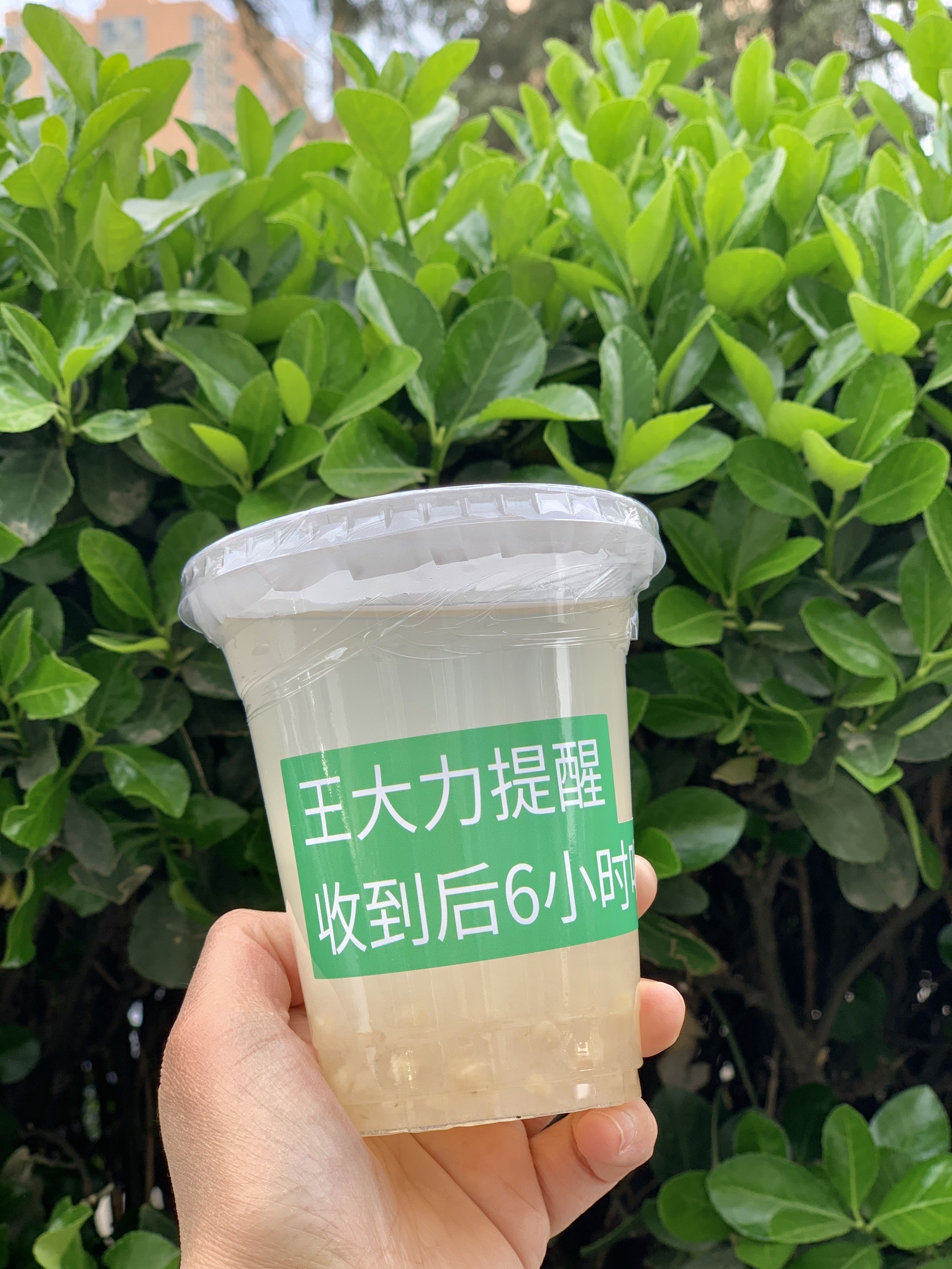 北京美食-咖啡库(富力城店)