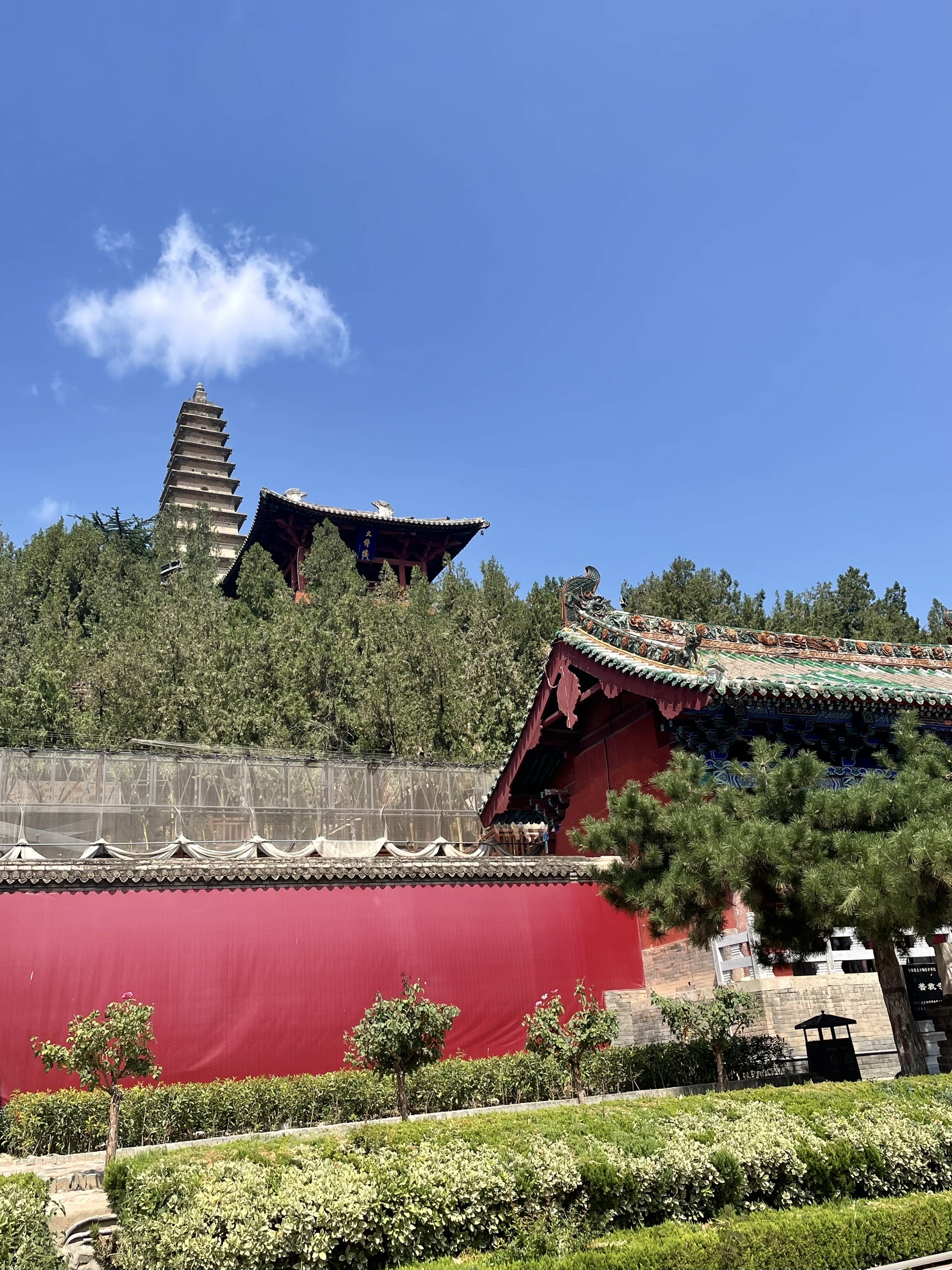 普救寺:访爱情圣地,听普救蟾声