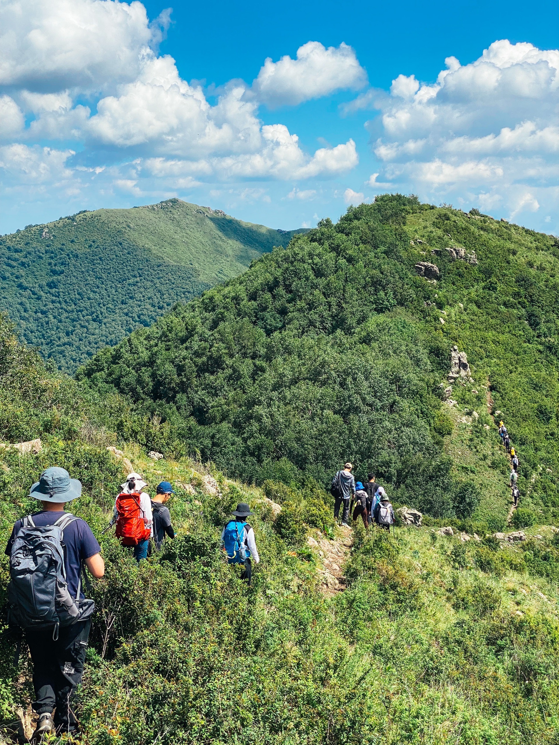 大黑峰 | 魅力草甸92 雨后绝美花海96