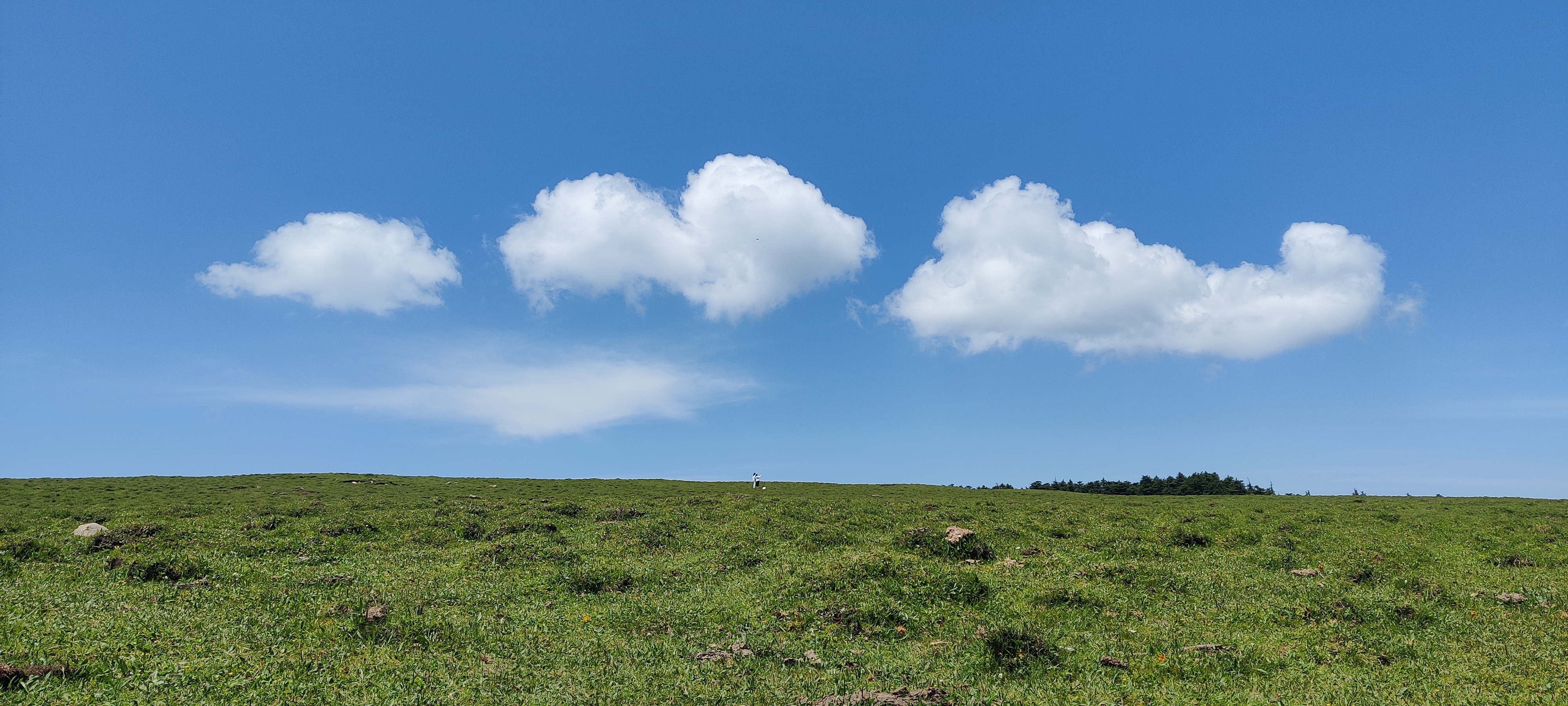 芦芽山马仑草原