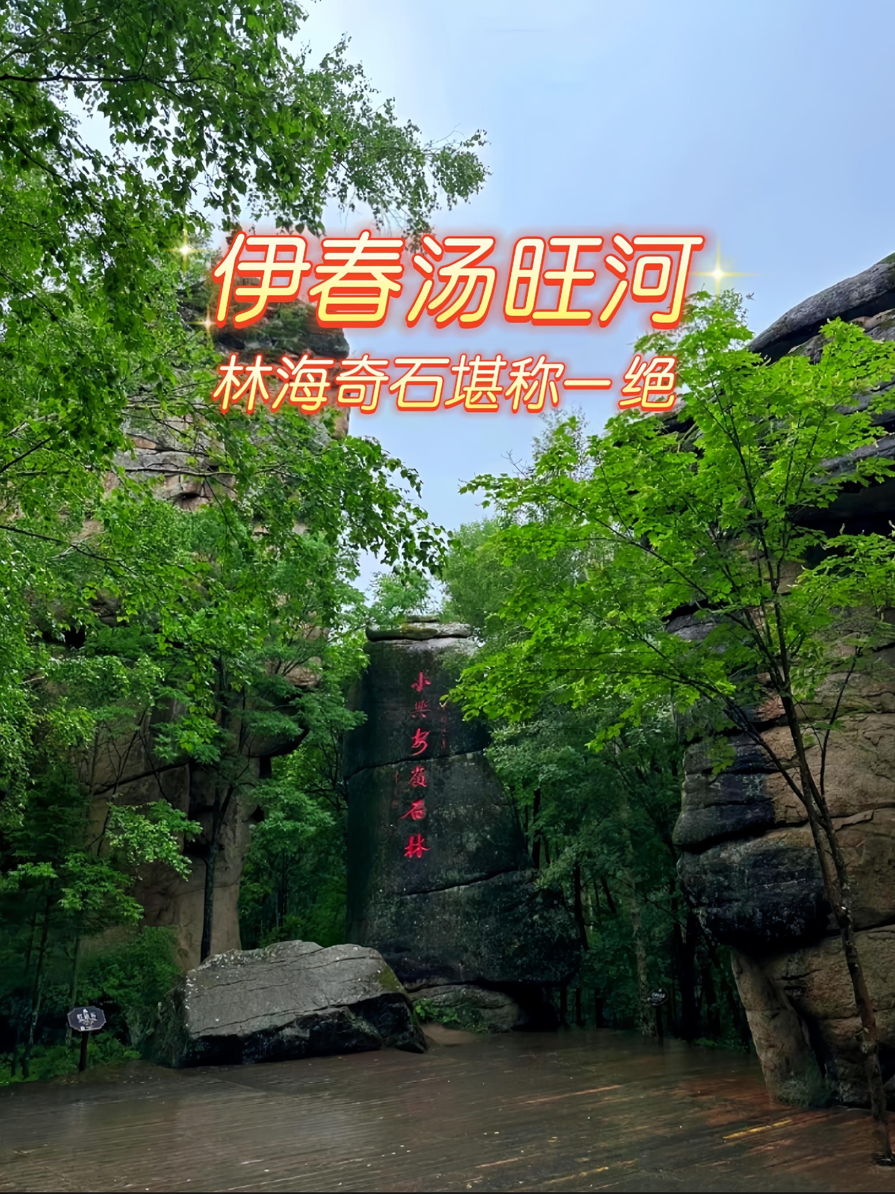 伊春汤旺河天气预报
