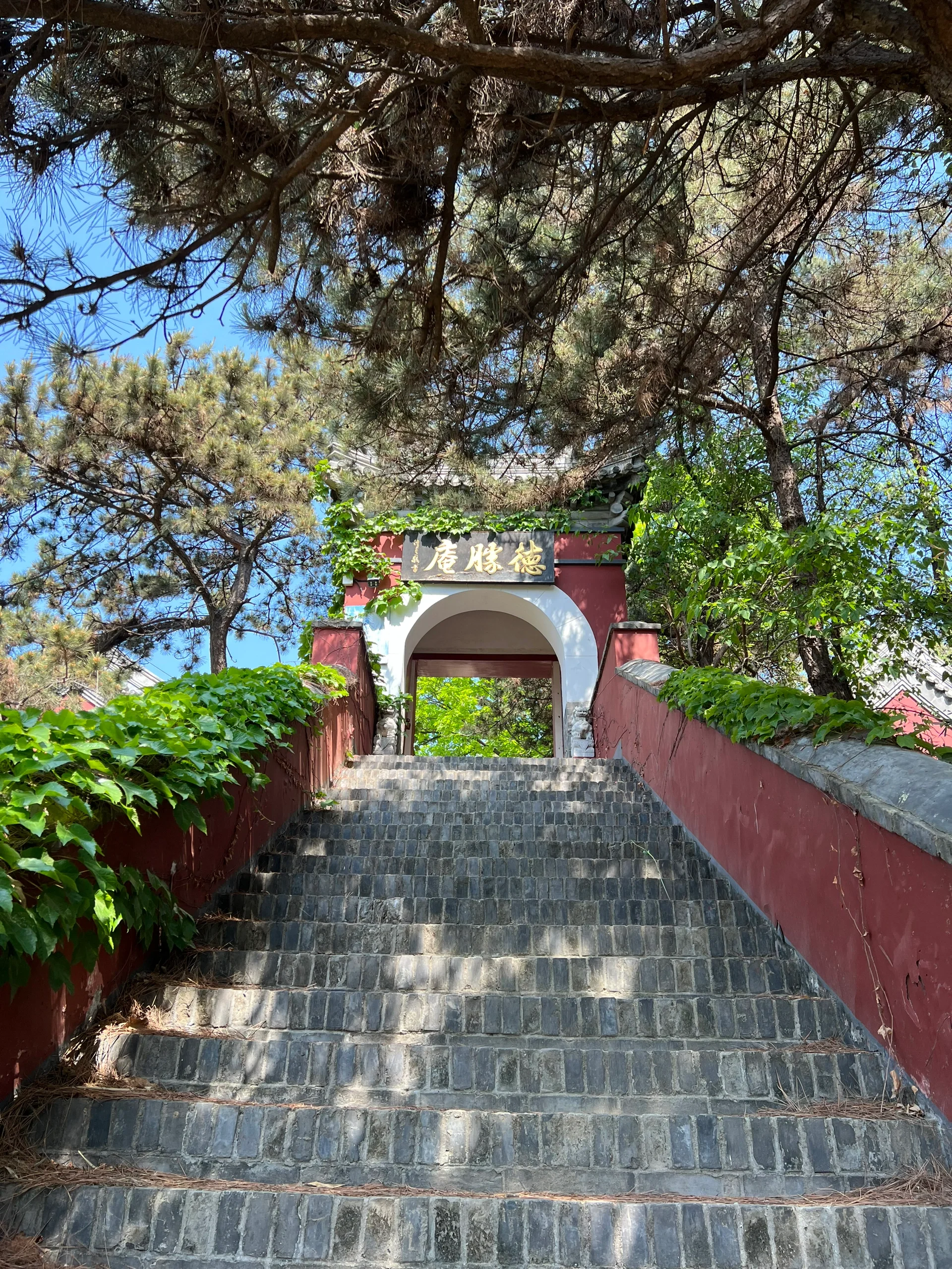 灵慧山旅游景区门票图片