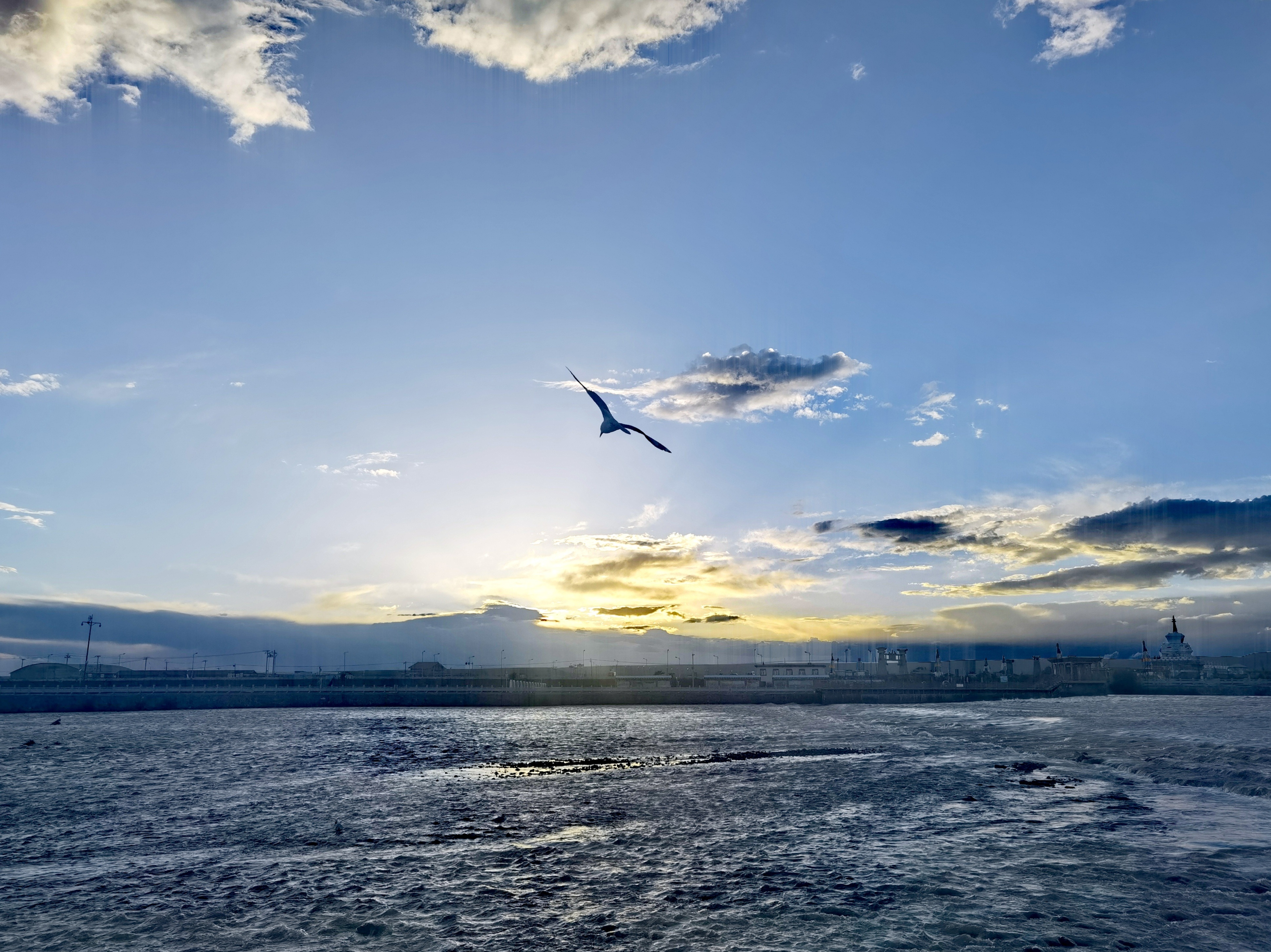 青海湟鱼洄游河口