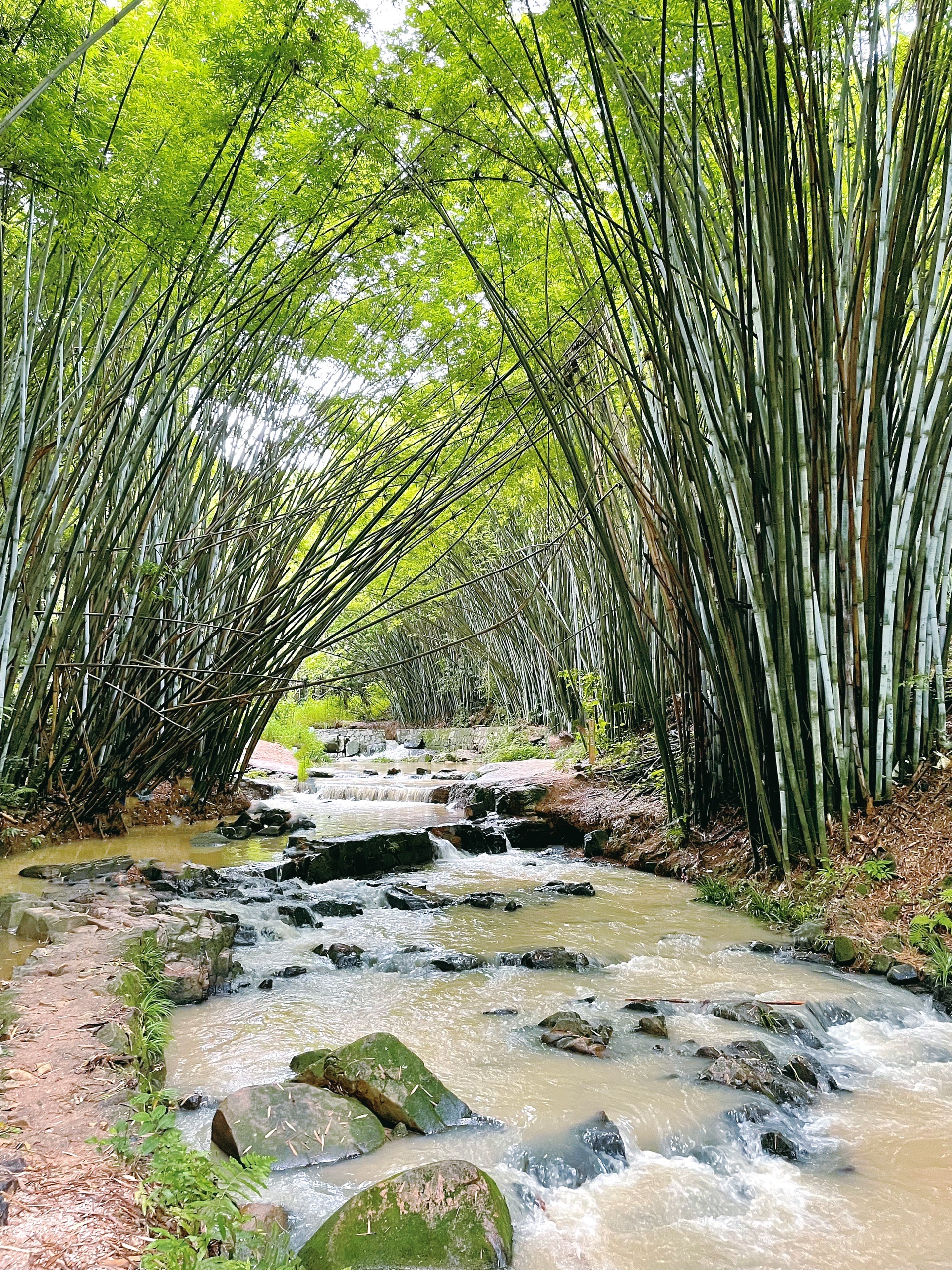 黄麻村