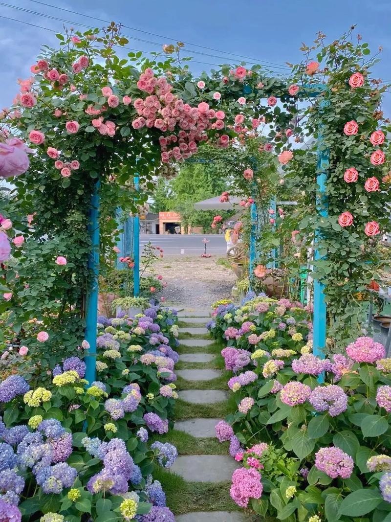 重庆洛莎玫瑰园赏花