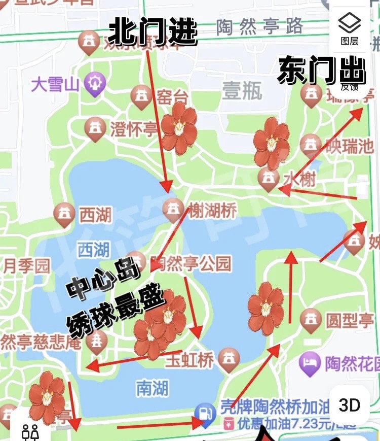 陶然亭绣球花赏花路线详解