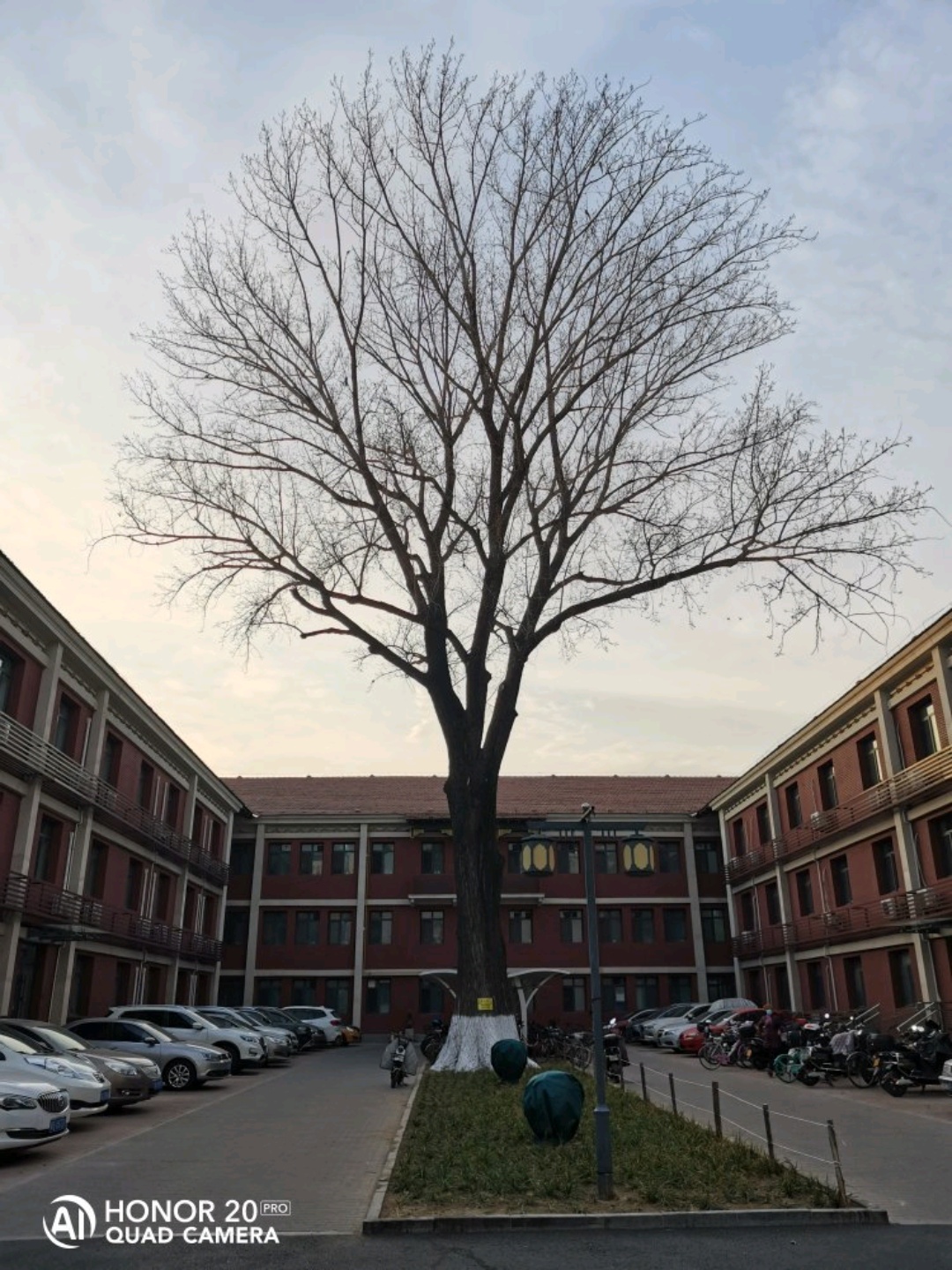 北京青年园攻略,青年园门票_地址,青年园游览攻略 - 马蜂窝